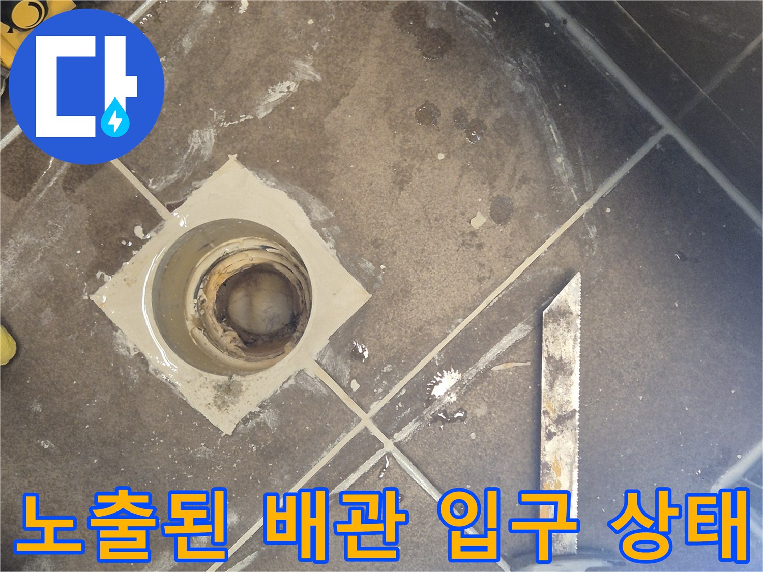 오수 배관 주변의 오염과 습기를 보여주는 사진