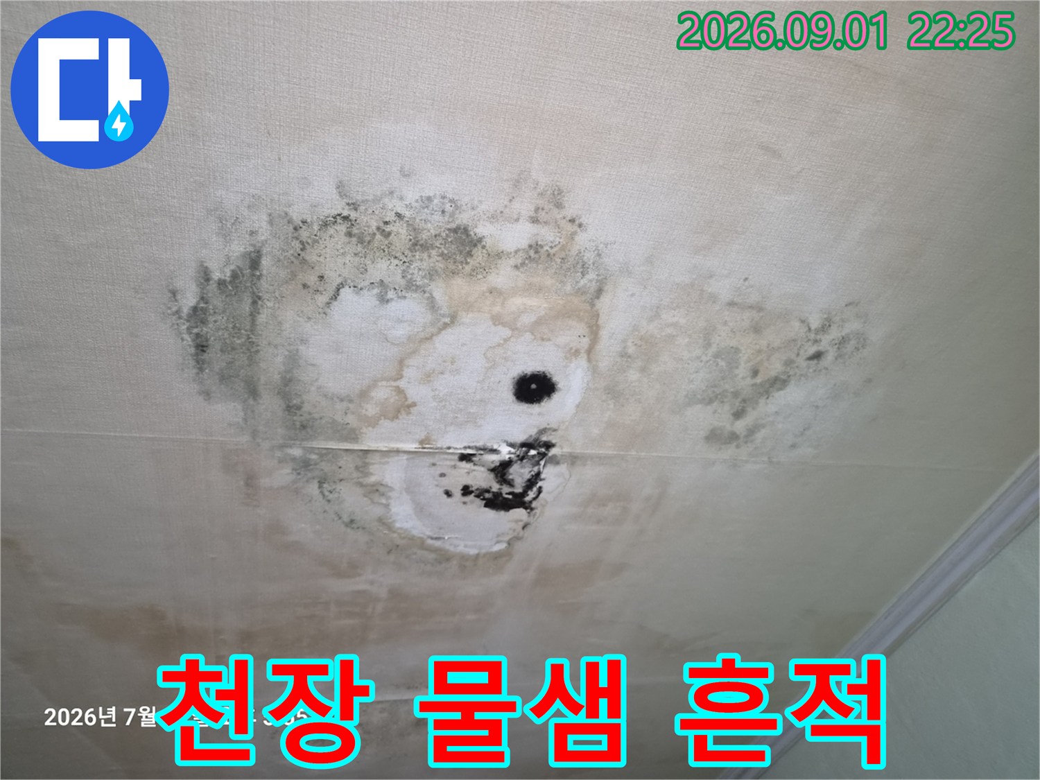 거실 천장 벽지의 누수 얼룩과 곰팡이 발생 부위