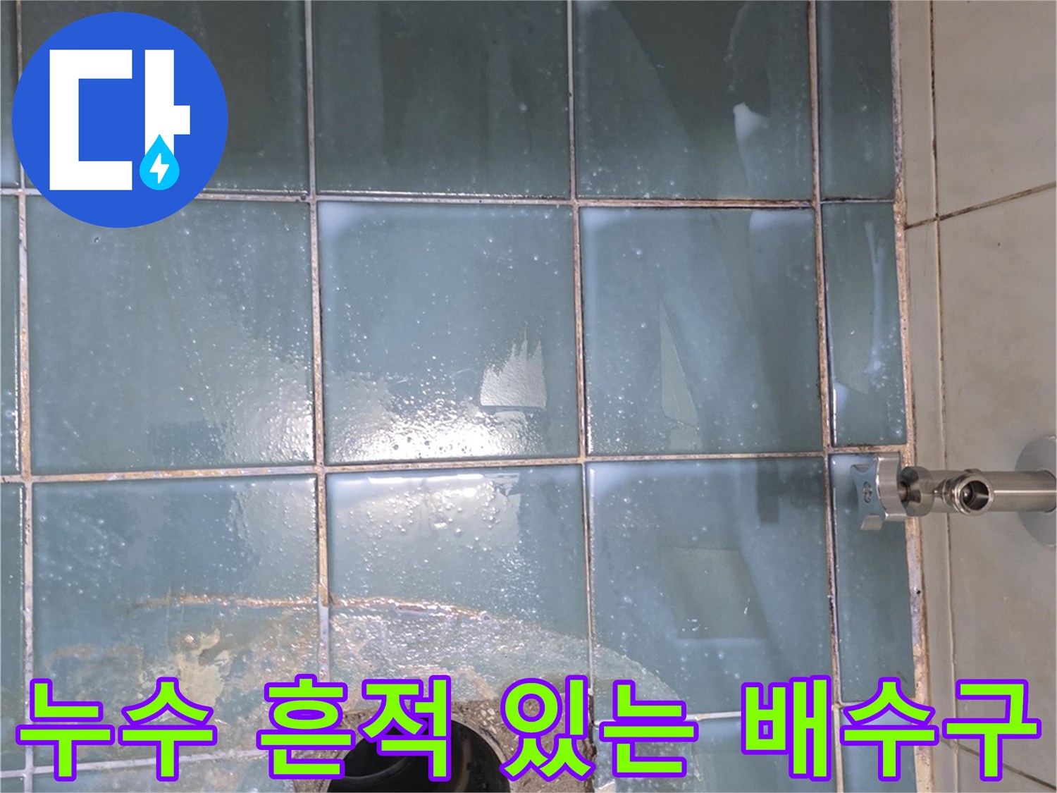 물기가-맺힌-화장실-바닥-배수구-주변-상태