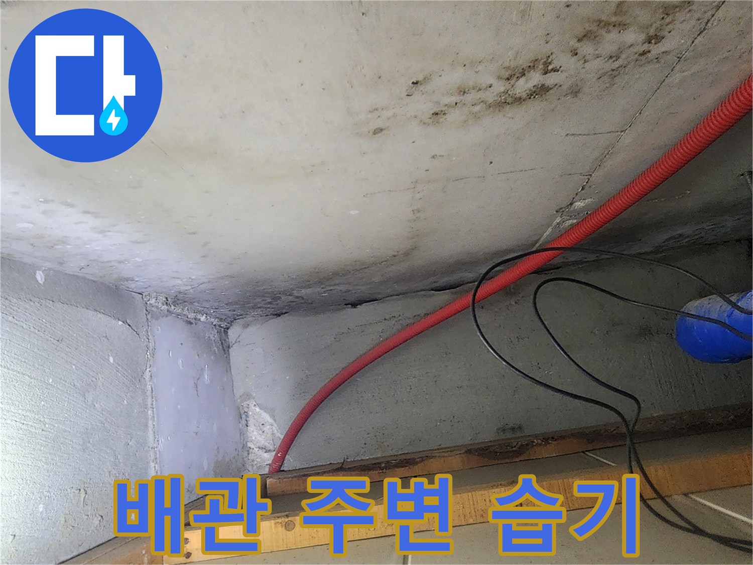 붉은색 배관과 콘크리트 면의 곰팡이 오염 상태