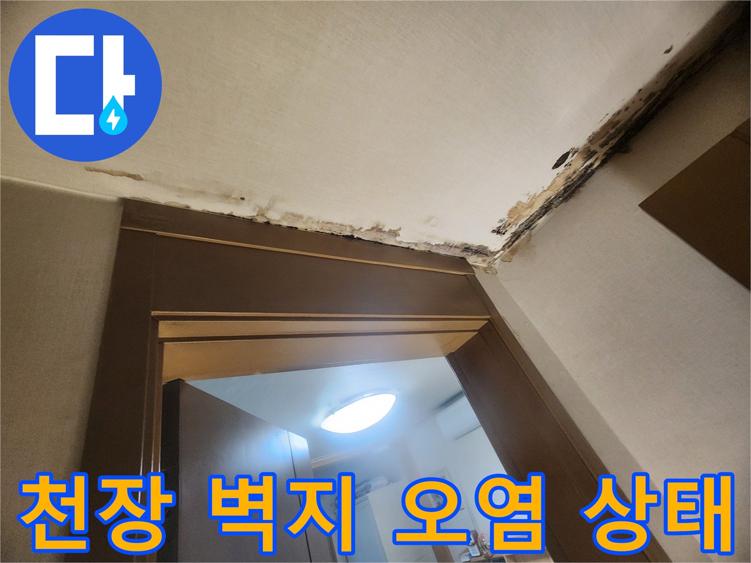성내동 현장-천장 마감재 경계 부위 곰팡이와 습기 흔적