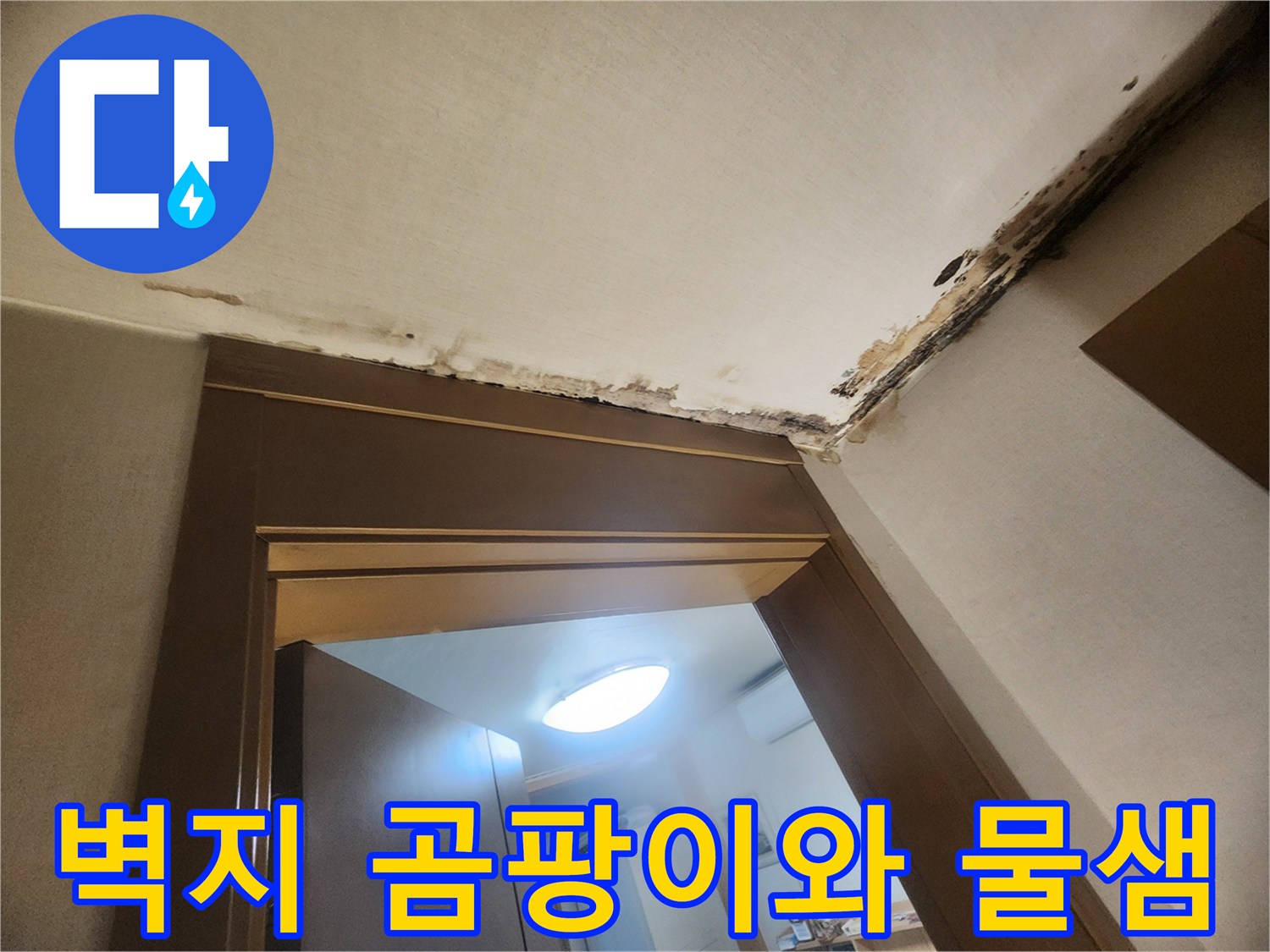 성내동 현장-천장 모서리 곰팡이 및 누수 피해 부위