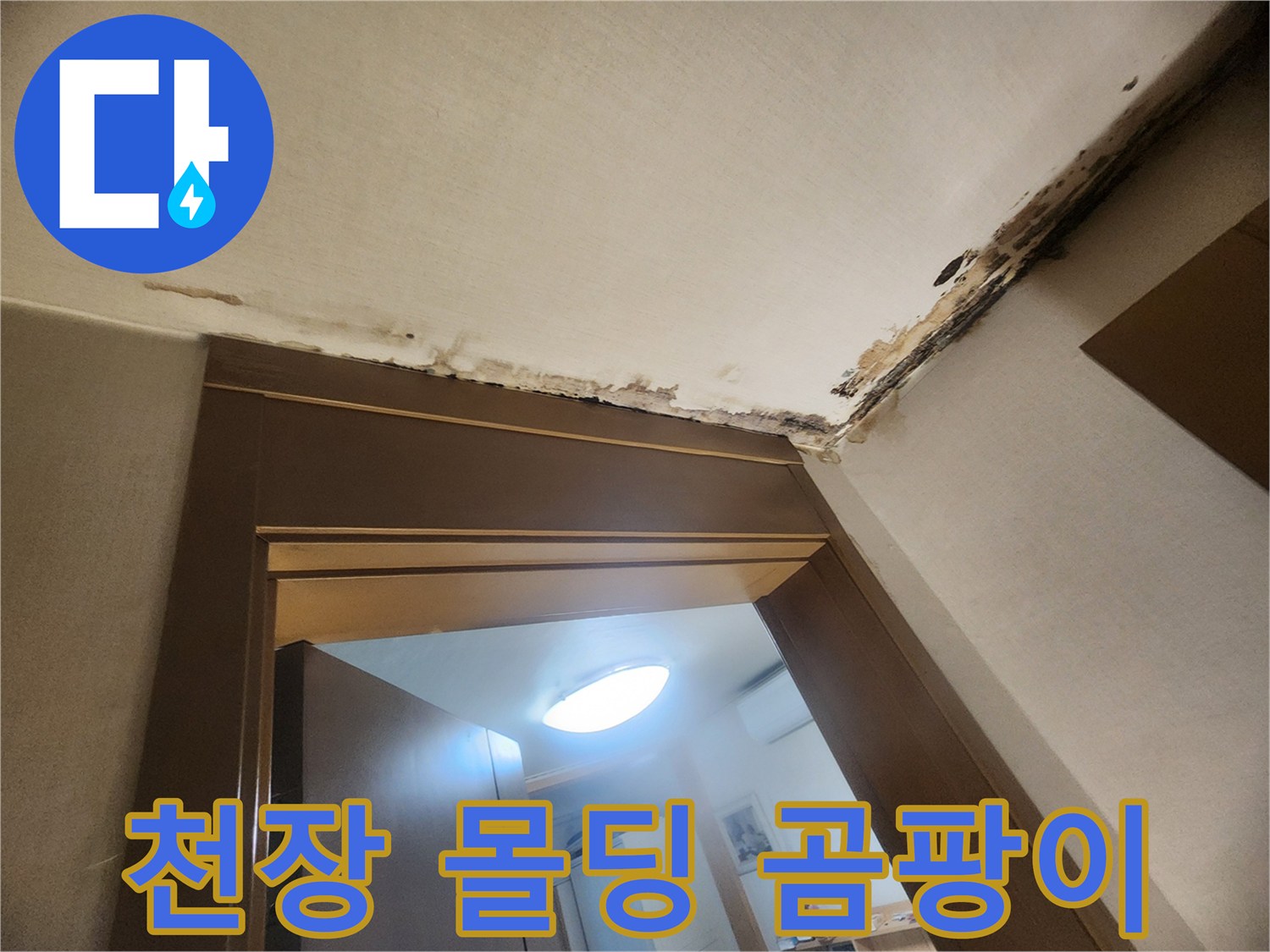 아랫집 거실 천장-벽지 변색과 곰팡이 발생 상태