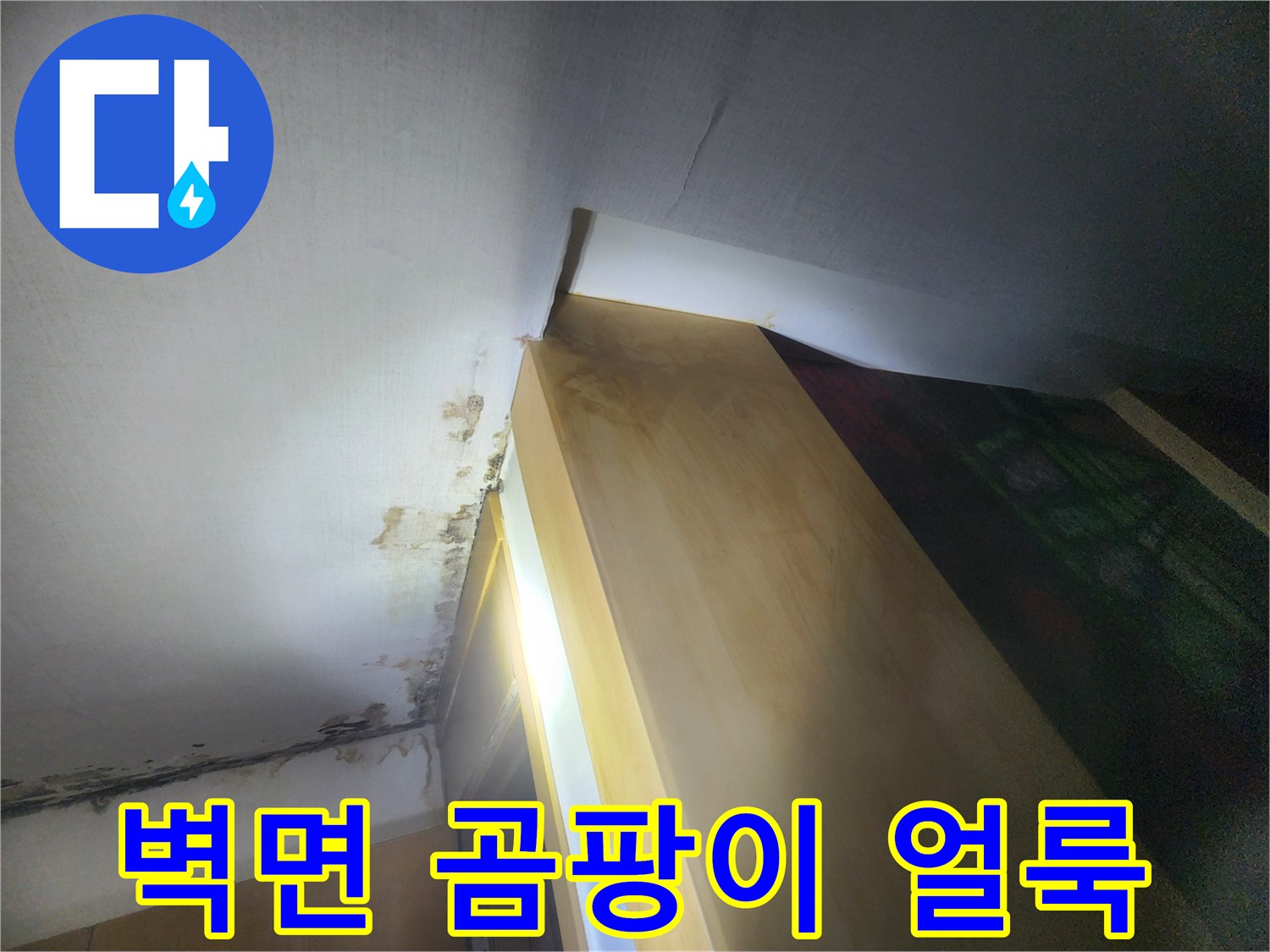 천장 경계면에 발생한 검은색 곰팡이와 습기 흔적