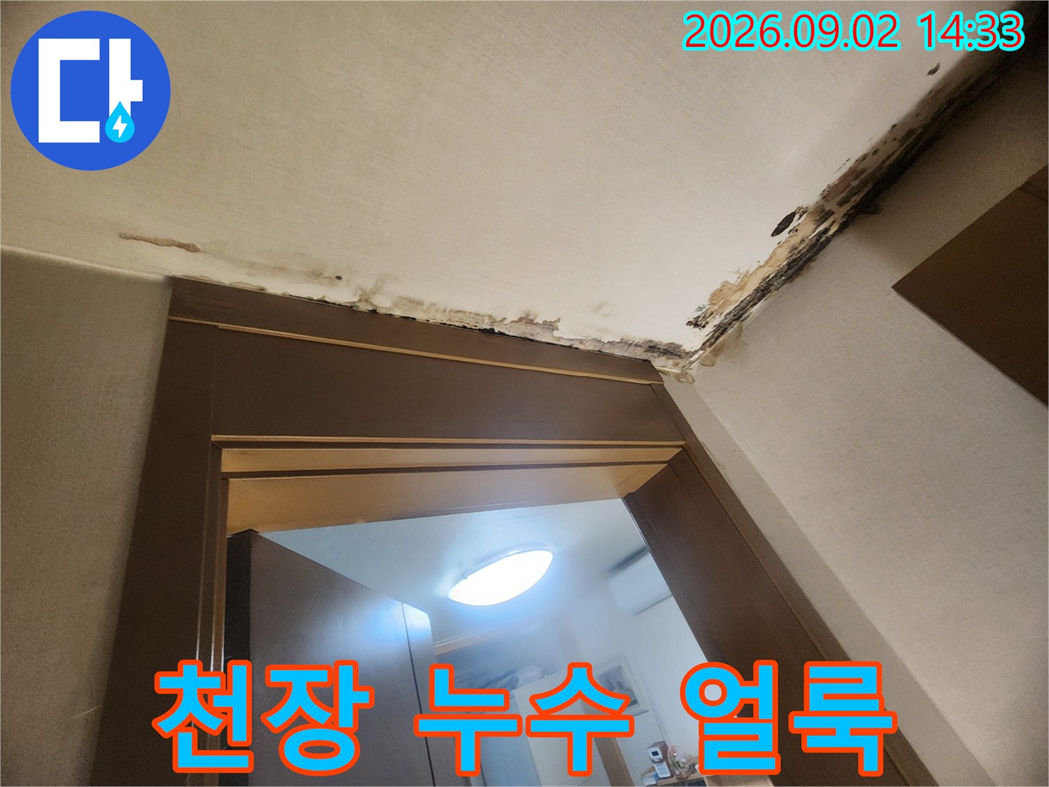 천장 구석에 발생한 물자국과 곰팡이 오염