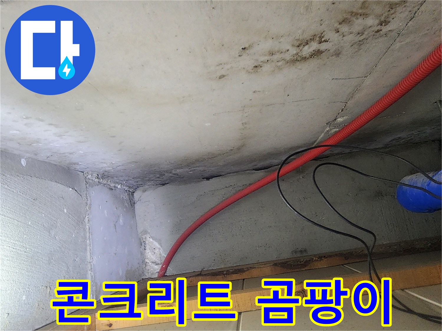 천장 콘크리트 면에 넓게 퍼진 곰팡이와 습기 자국