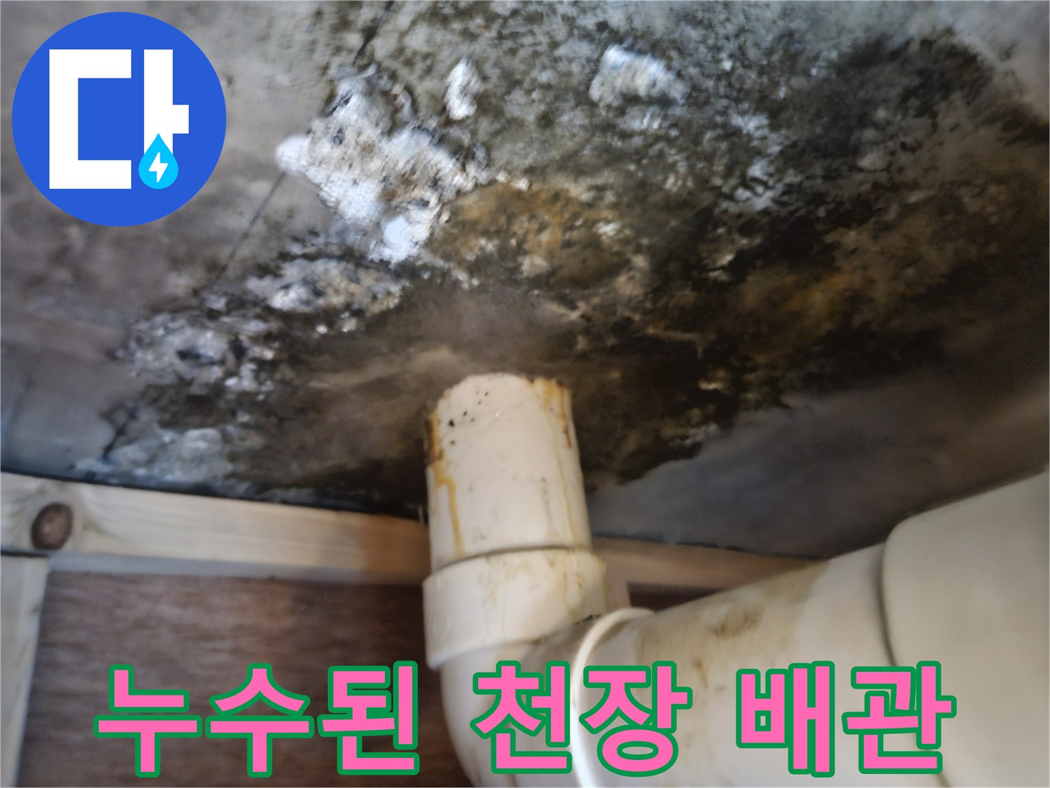 배수-배관-주변의-심한-곰팡이와-콘크리트-변색