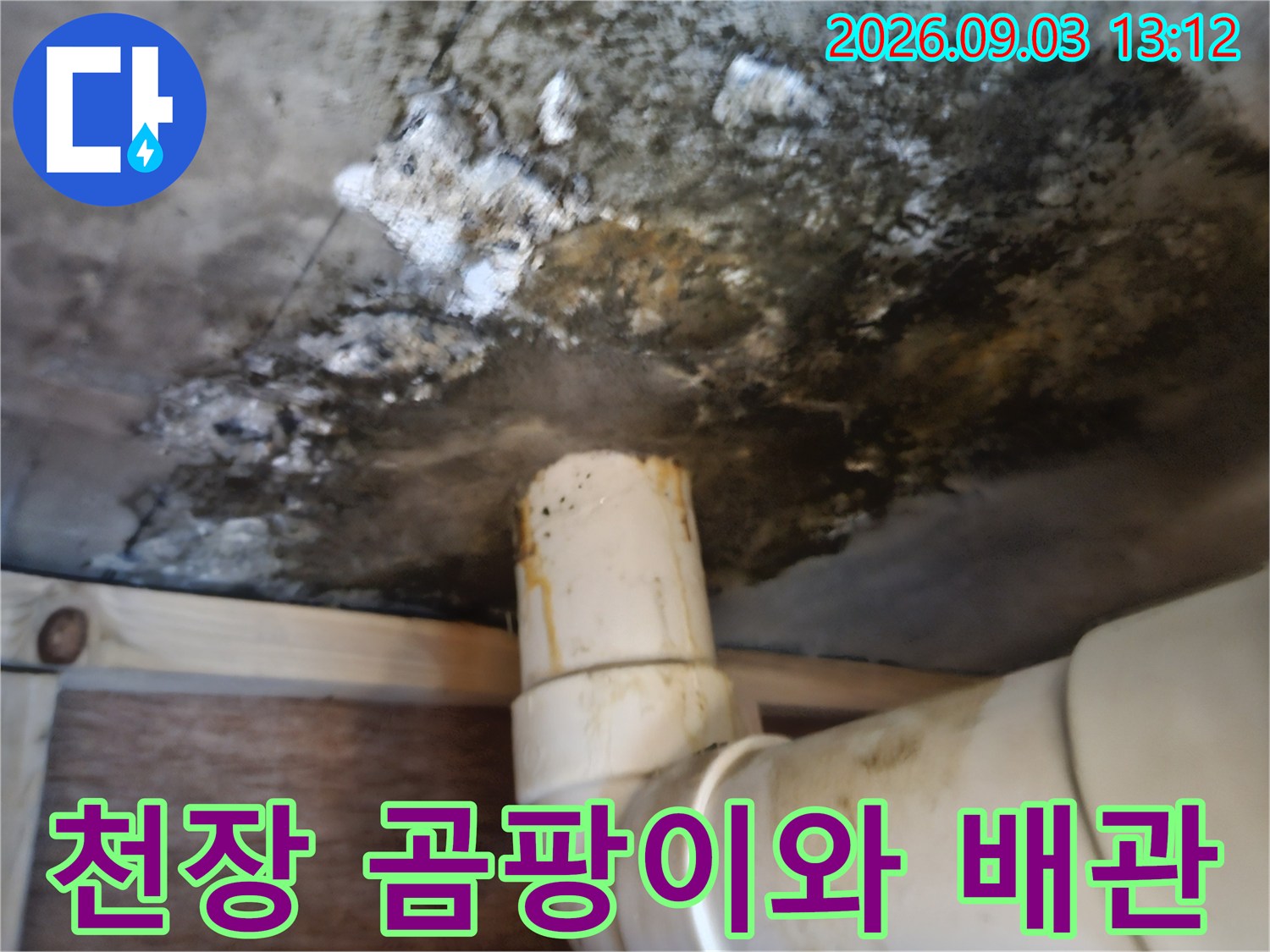 욕실 천장 슬라브의 곰팡이 오염과 흰색 배관 상태