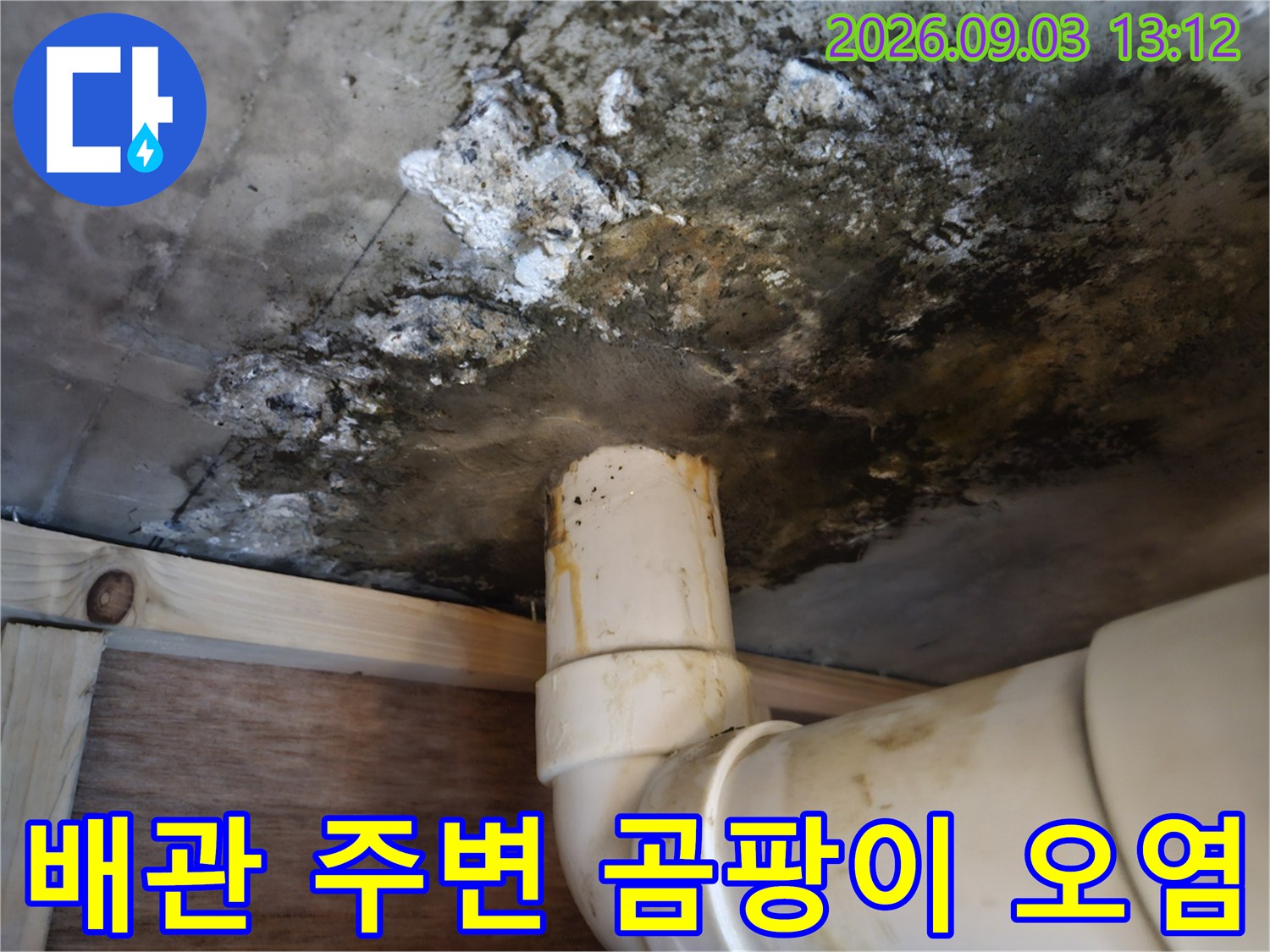 천장 배수관-주변 슬라브의 광범위한 곰팡이와 습기