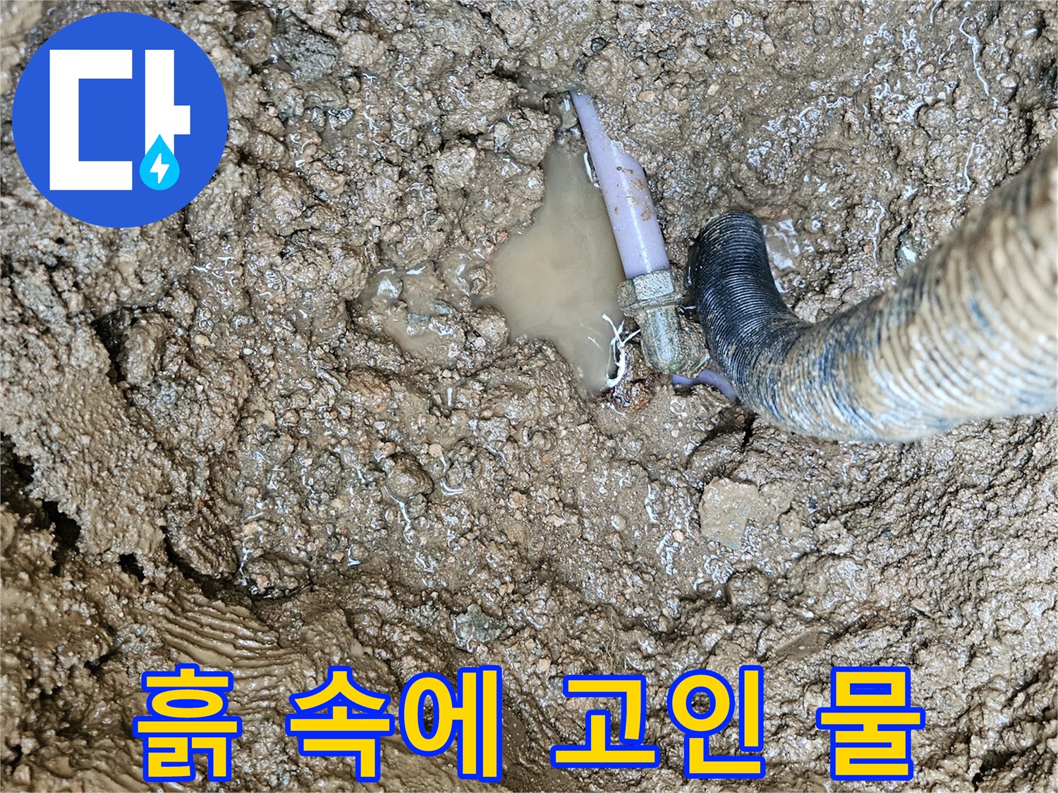 배관 파손 지점에서 새어 나온 물이 고여 있는 모습