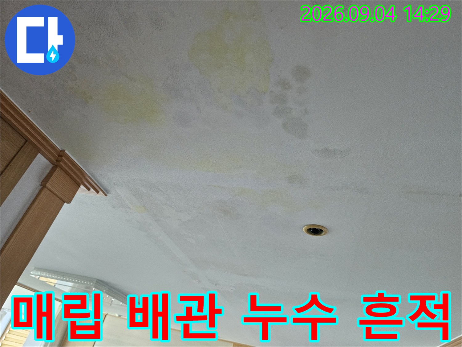 천장 벽지에 나타난 누수 자국 - 에어컨 배관 역류 흔적