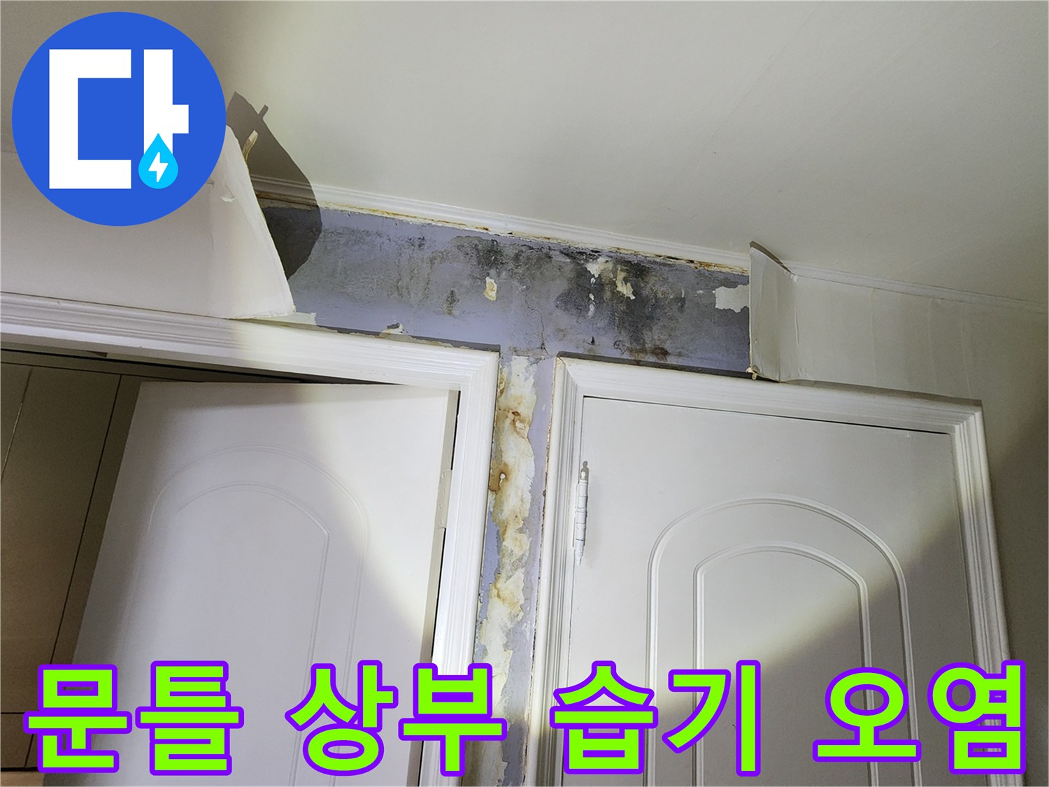 문틀 위쪽 벽면의 곰팡이와 페인트 탈락 부위 상세
