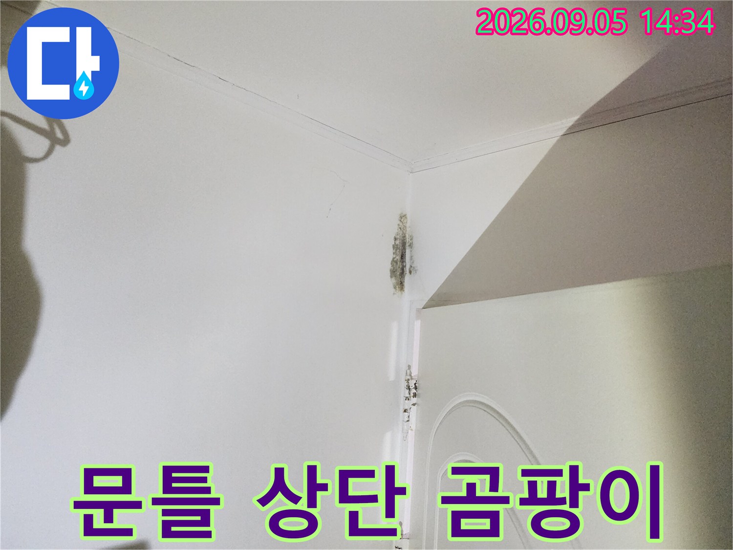 은평구 신사동 현장-문틀 모서리 부근의 곰팡이 및 벽지 오염