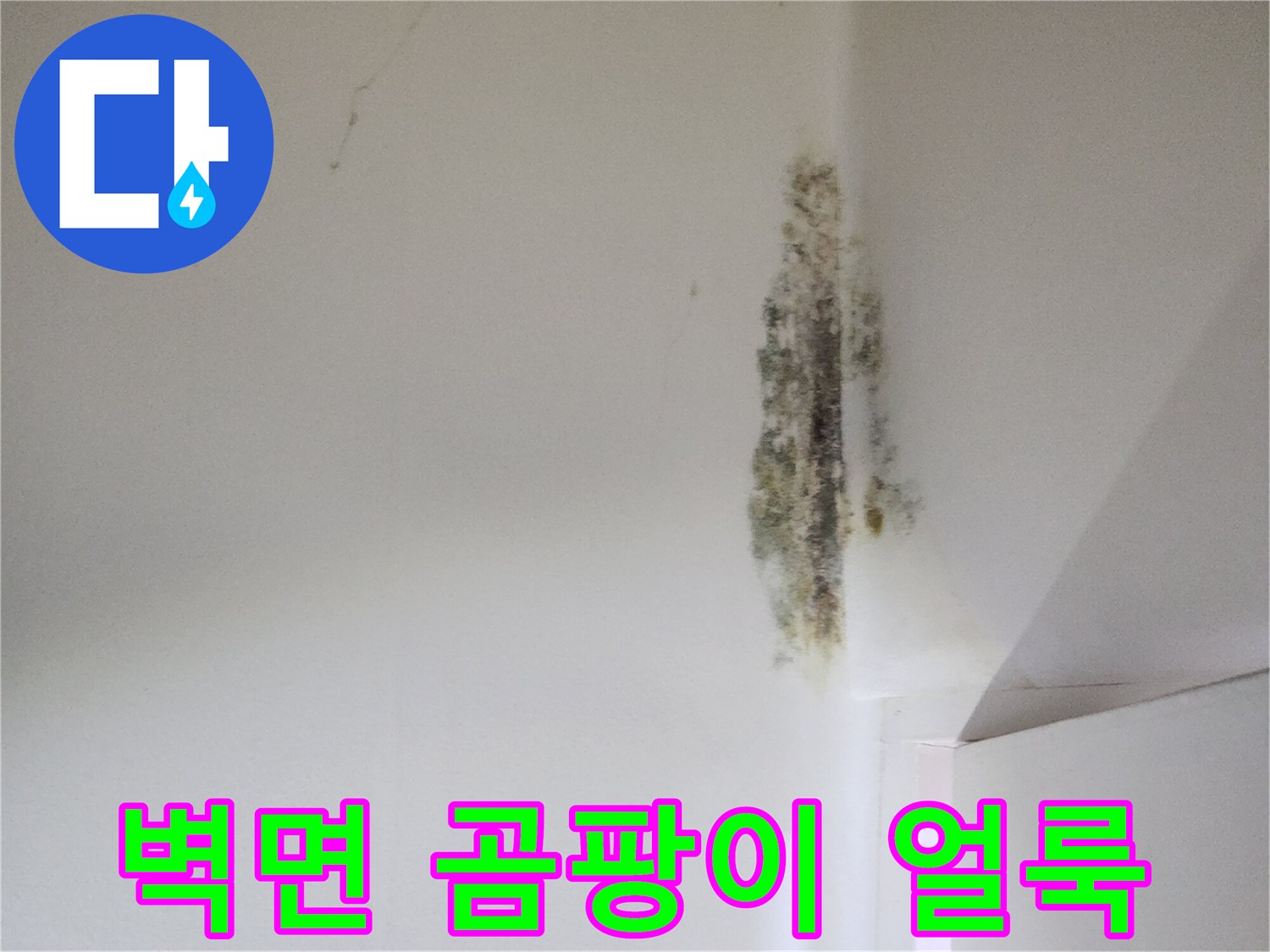 천장 구석의 습기 침투 및 곰팡이 발생 현장