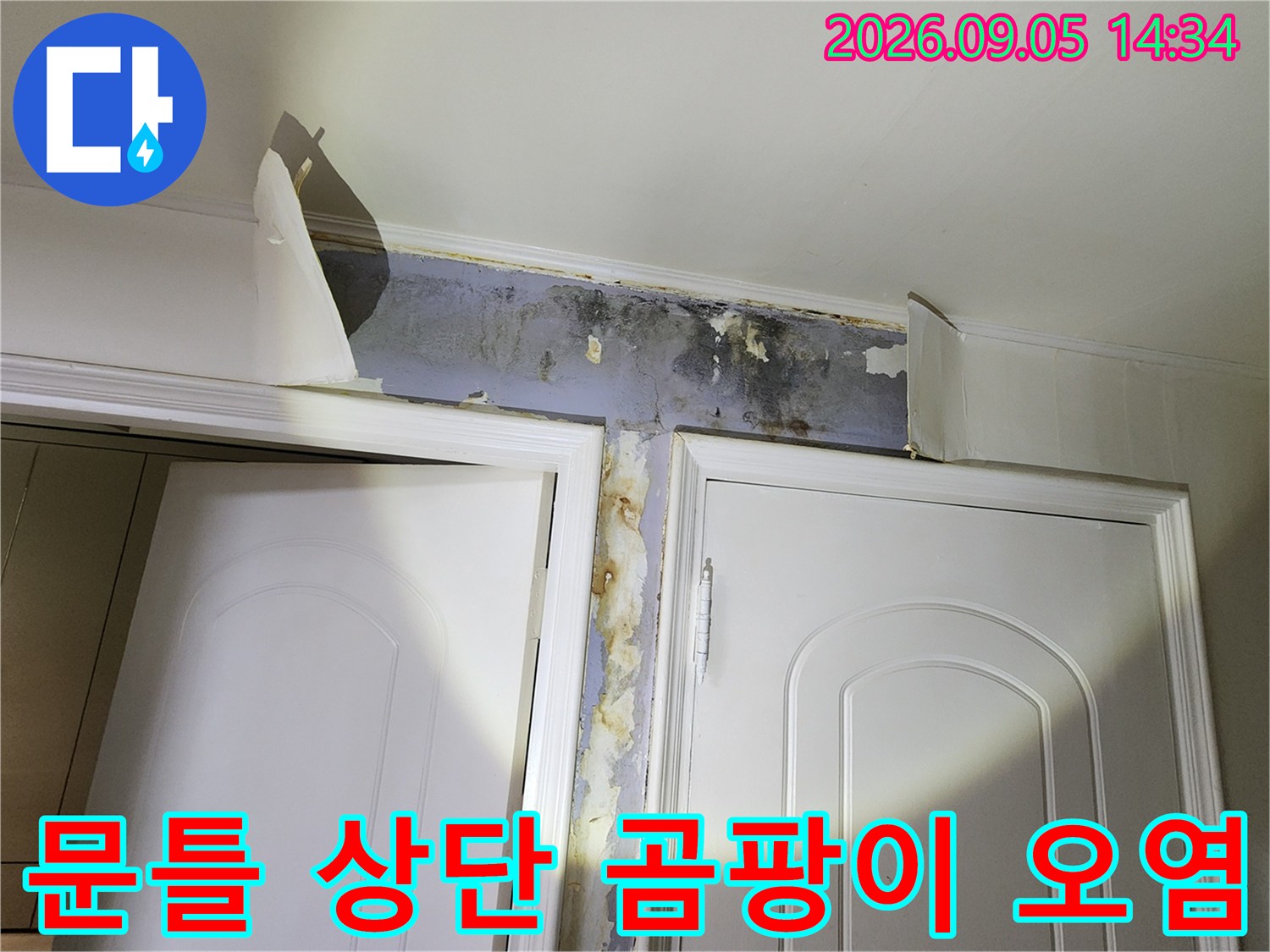 천장과 문틀 사이 벽지가 젖어 곰팡이가 피어 있습니다.