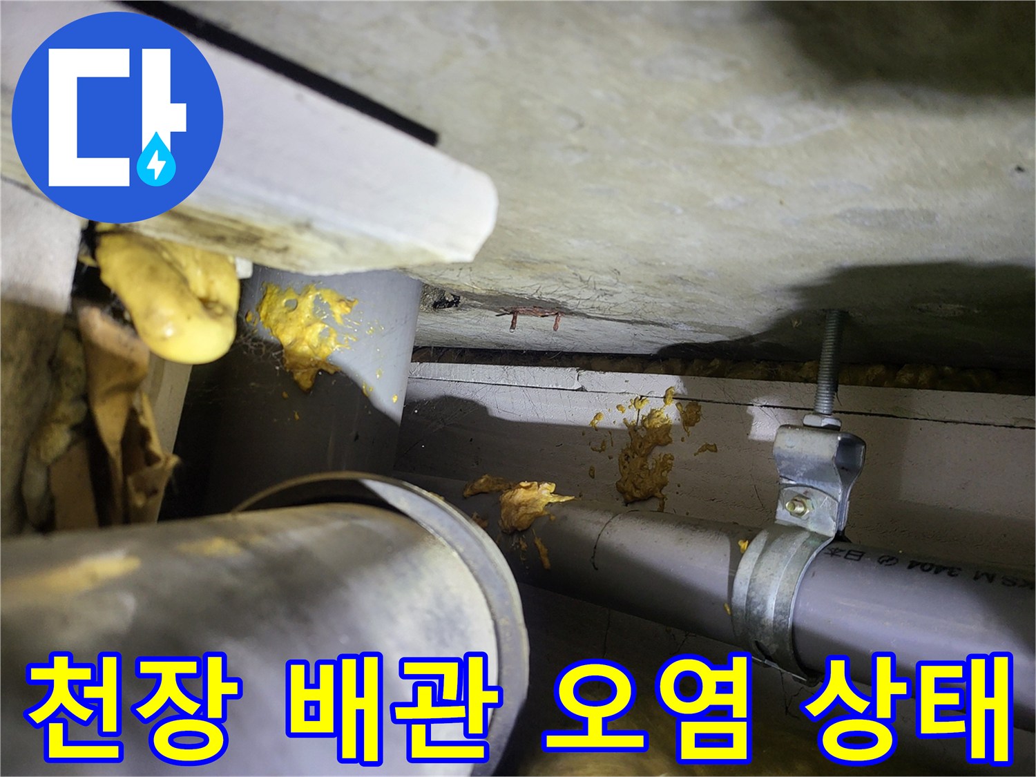 천장-배관-연결부-및-마감재-오염-상태