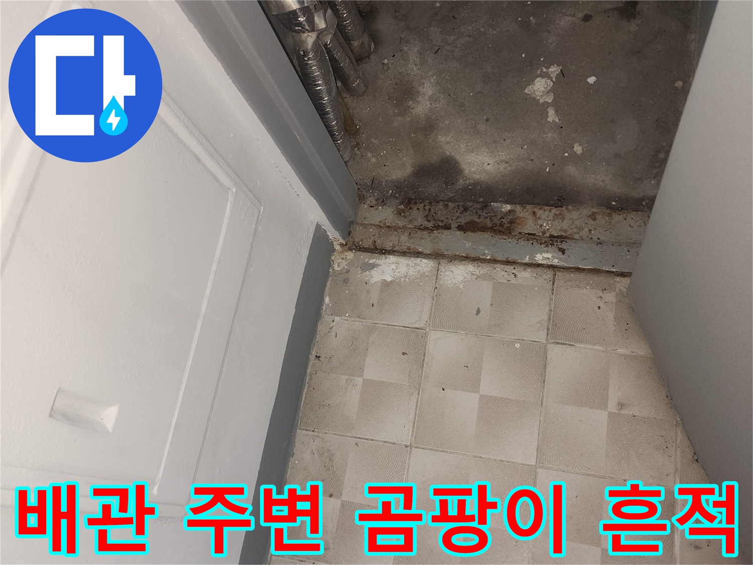 인천 서구 아파트 배관 벽면의 곰팡이와 습기 흔적