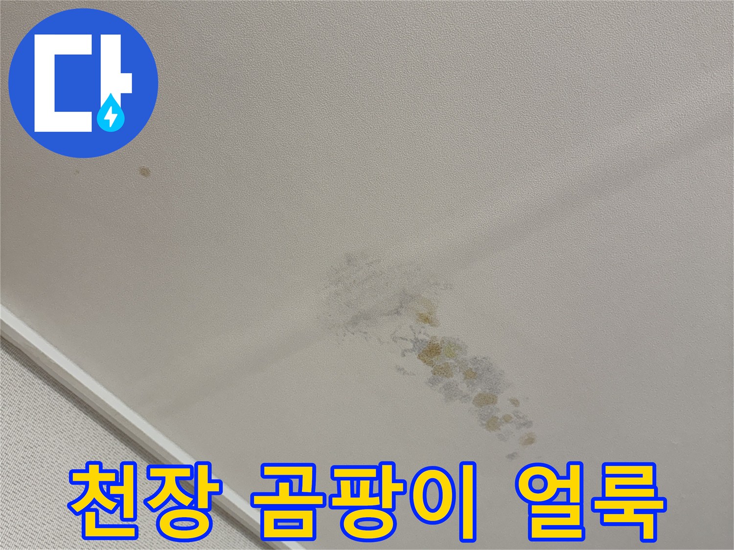 용인 동천동 아파트-천장에 발생한 곰팡이와 습기 흔적
