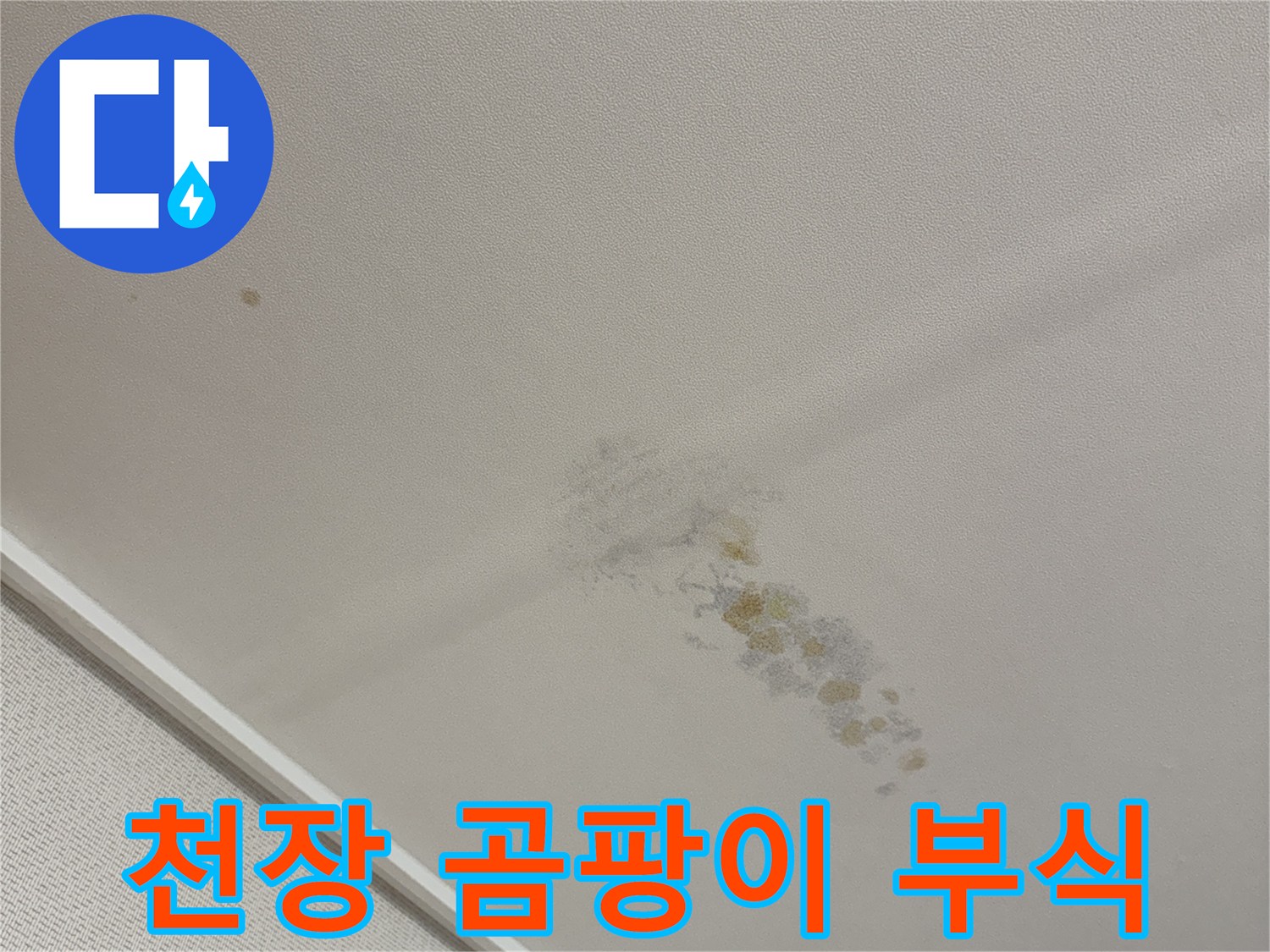 용인 동천동 주택-천장 벽면에 나타난 곰팡이와 습기 오염