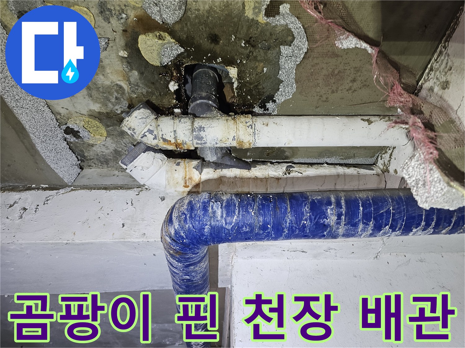 누수로 인해 곰<0xAE>팡이가 발생한 필로티 주차장 천장 배관