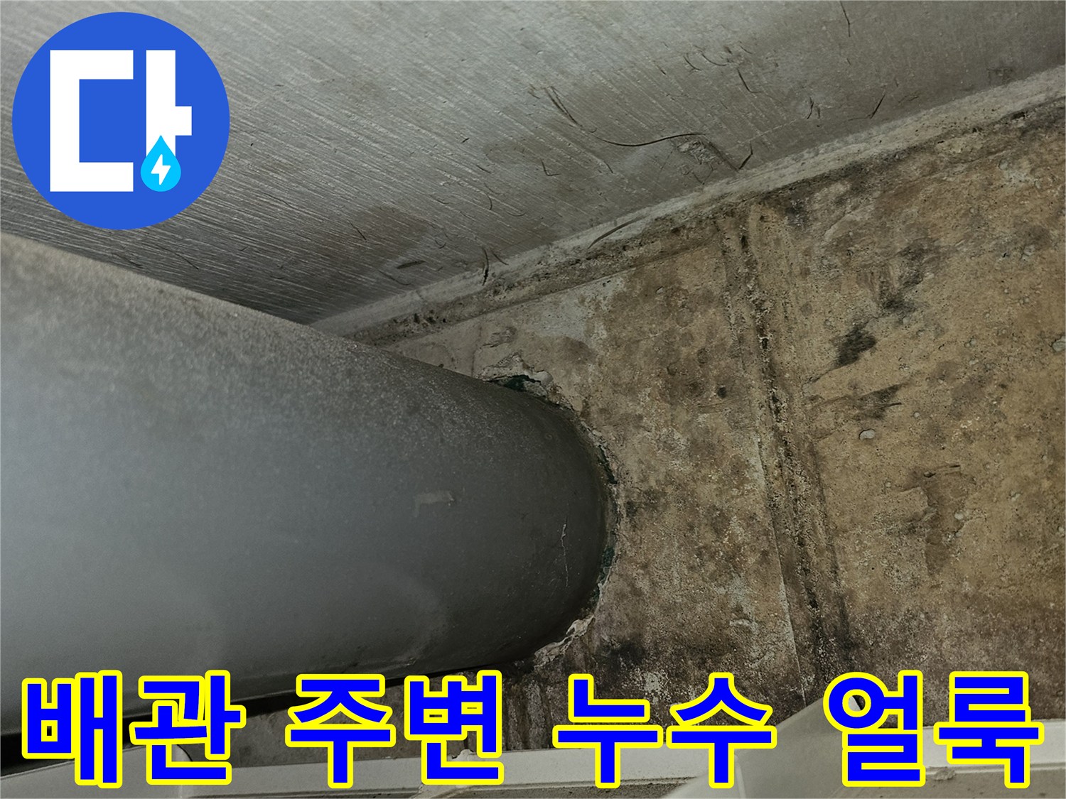 은평구 갈현동-주차장 천장 배관 주변의 젖은 벽면 상태