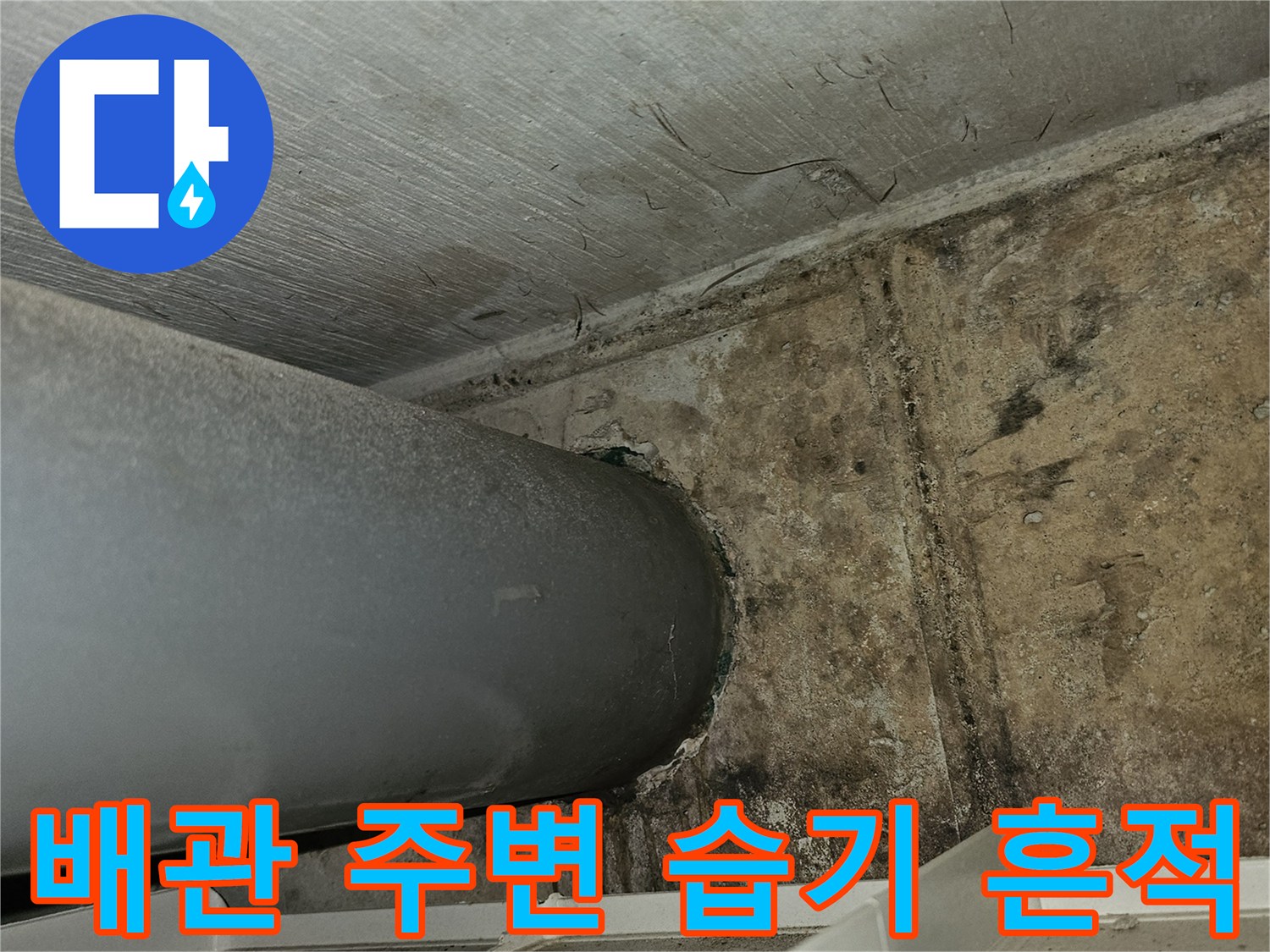 필로티 구조-주차장 천장 배관 주위의 젖은 얼룩 상태