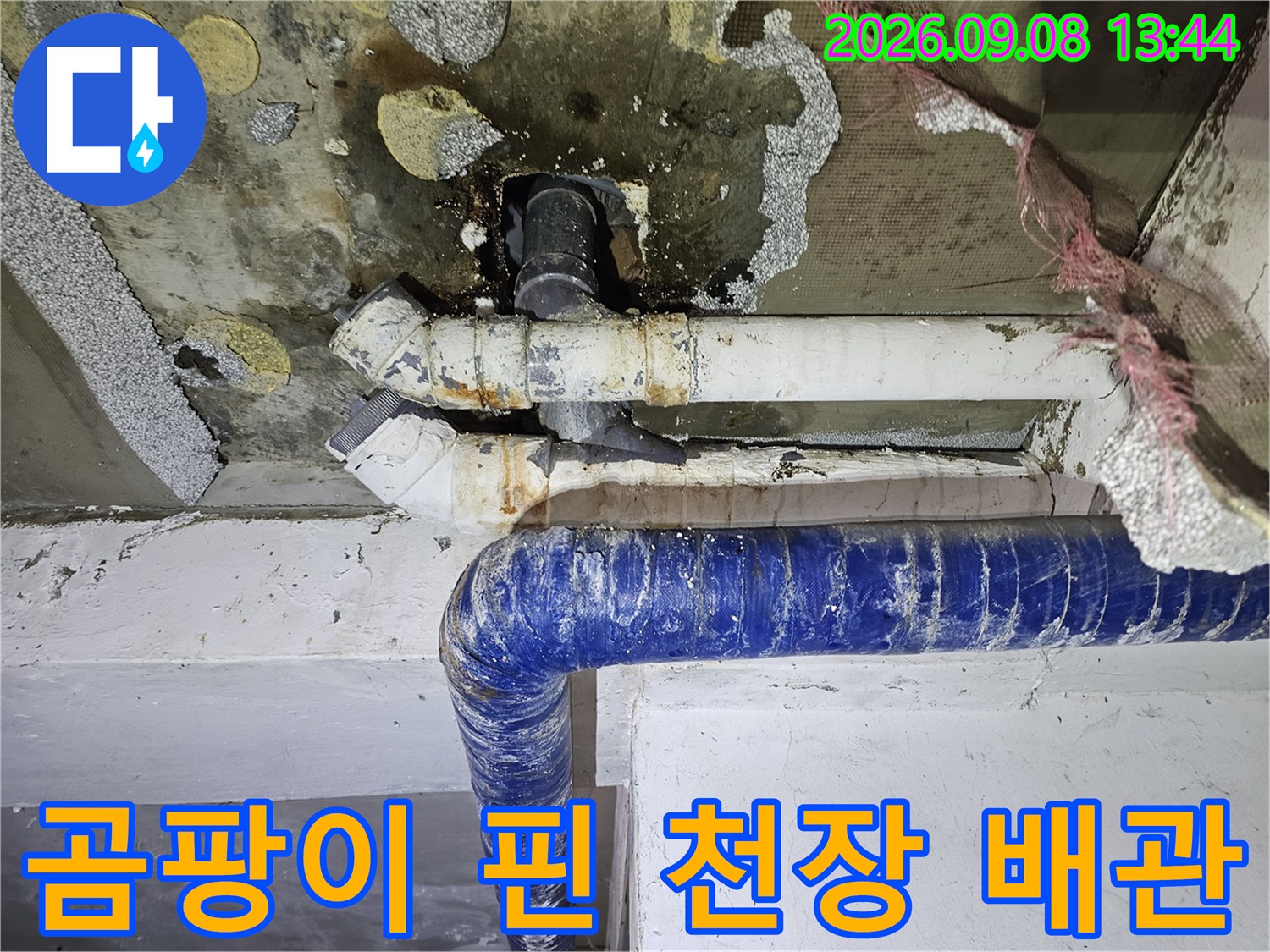 갈현동 누수 현장의 천장 곰팡이와 오염된 배관 모습