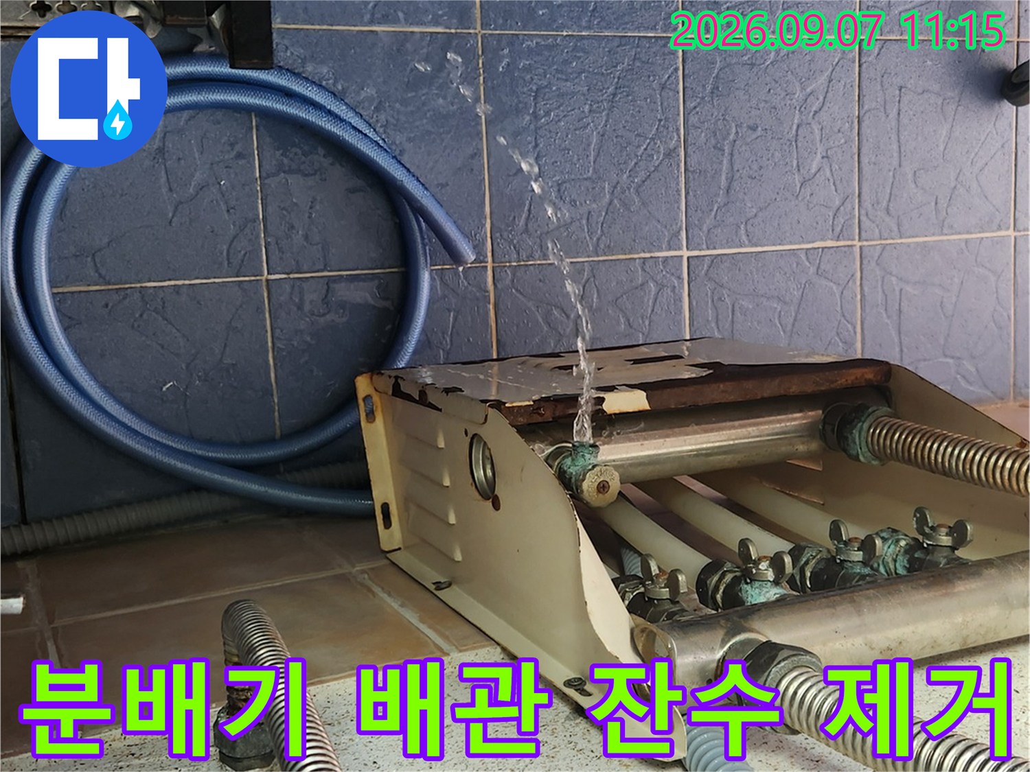 배관 검사를 위해 분배기에서 물을 빼내는 작업 현장입니다.