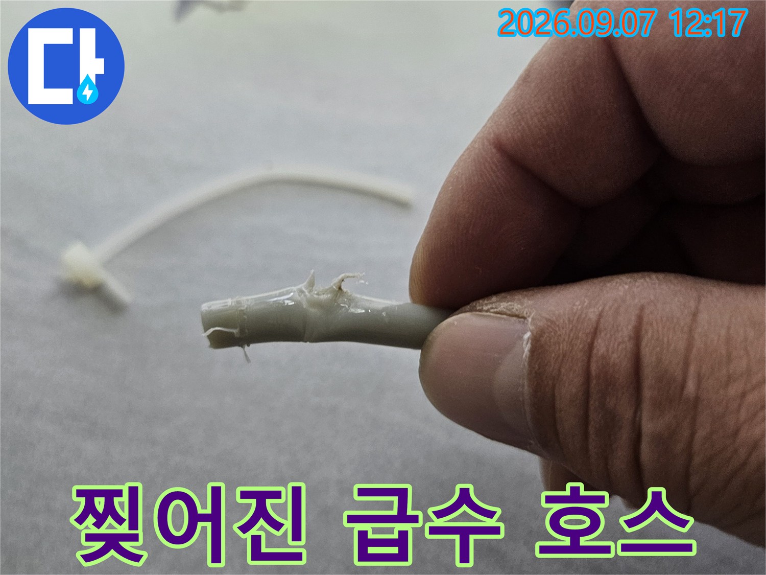 잘린 부위에서 물이 새는 찢어진 급수 호스의 근접 사진입니다.