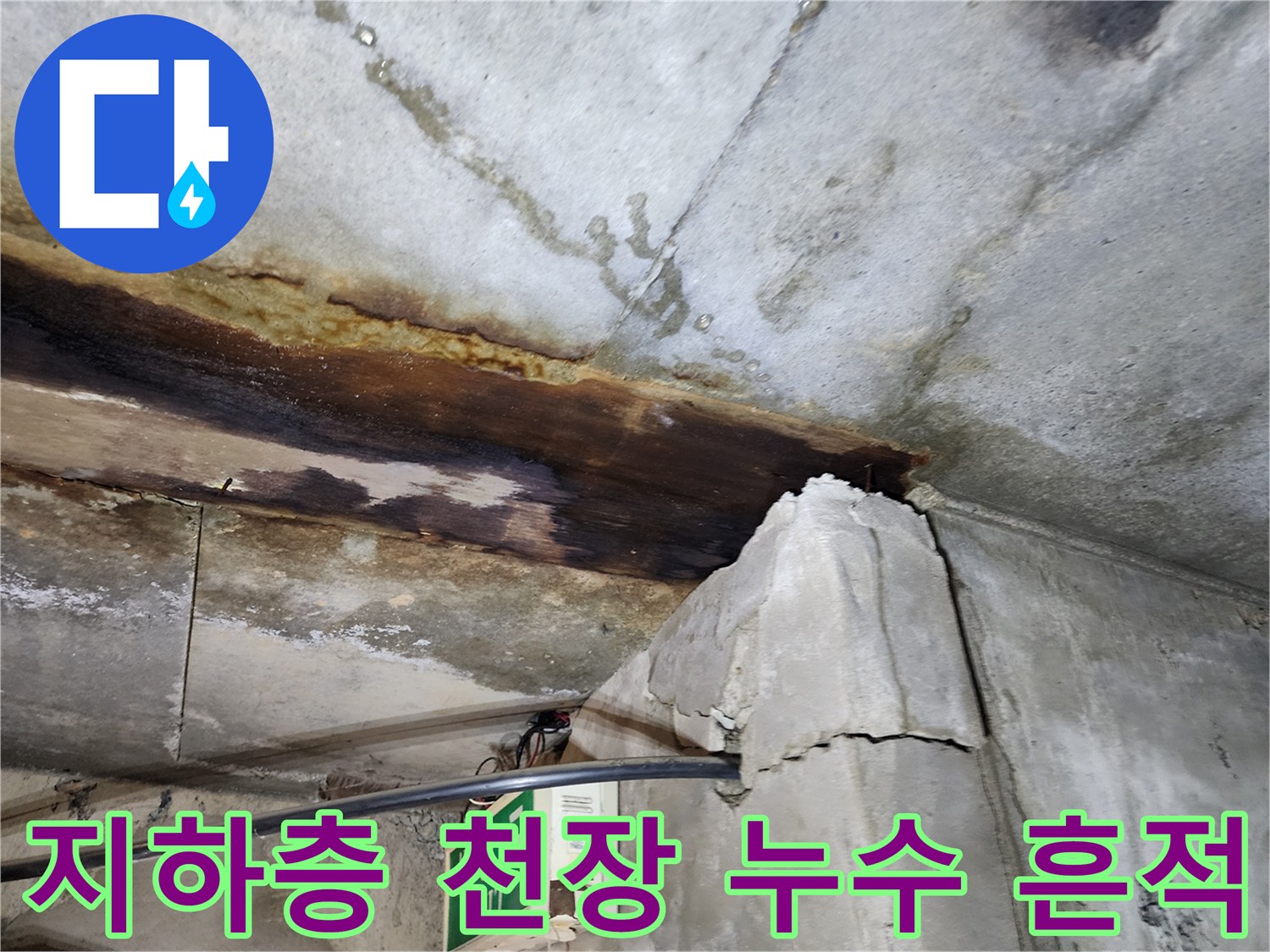 빌라-지하층-천장-콘크리트-누수-및-부식-상태