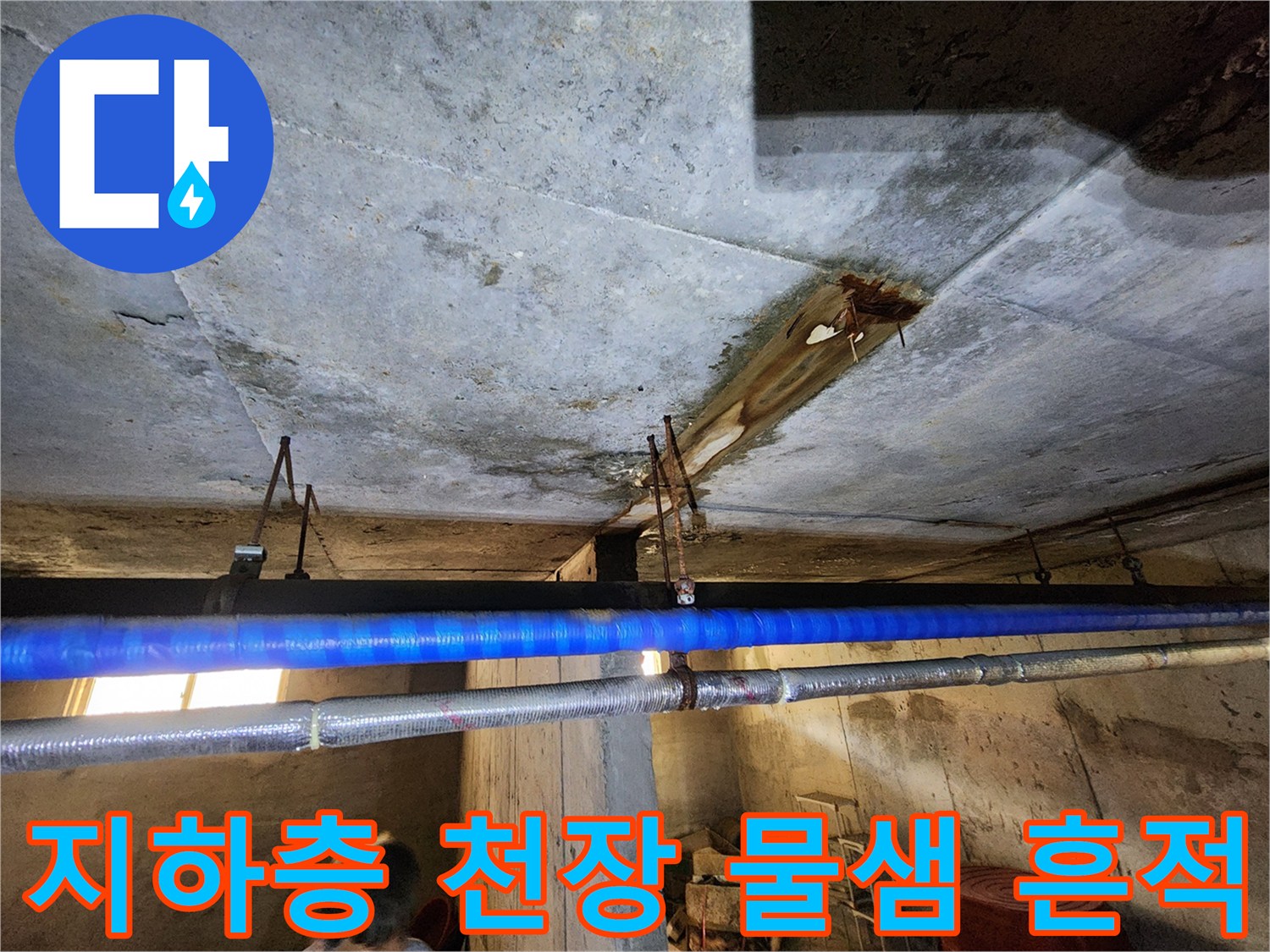 연천 전곡읍 빌라-지하층 천장 콘크리트 젖음 현상