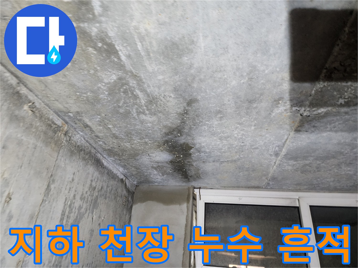 연천 전곡읍 빌라-지하층 콘크리트 천장 습기 및 물얼룩 상태
