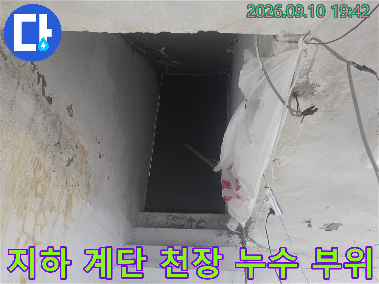 물샘 현상으로 인해 하얗게 변한 지하 계단실 벽면