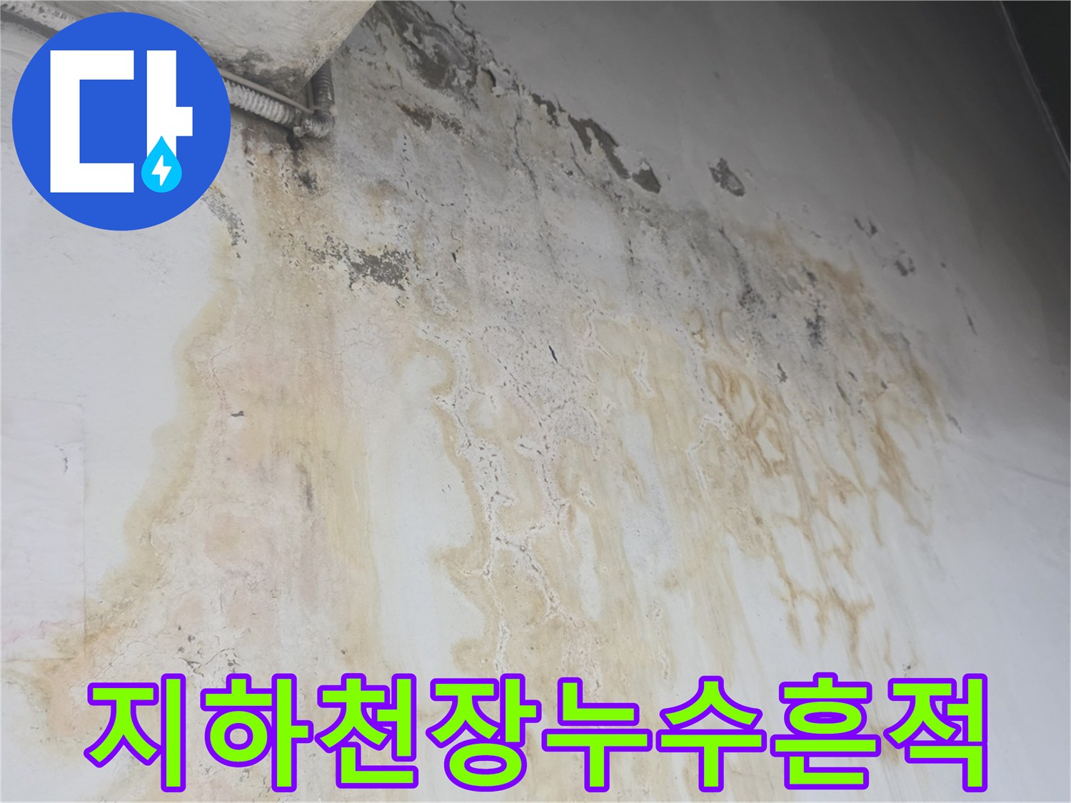 화곡동 현장의 누수로 오염된 지하 계단 천장벽