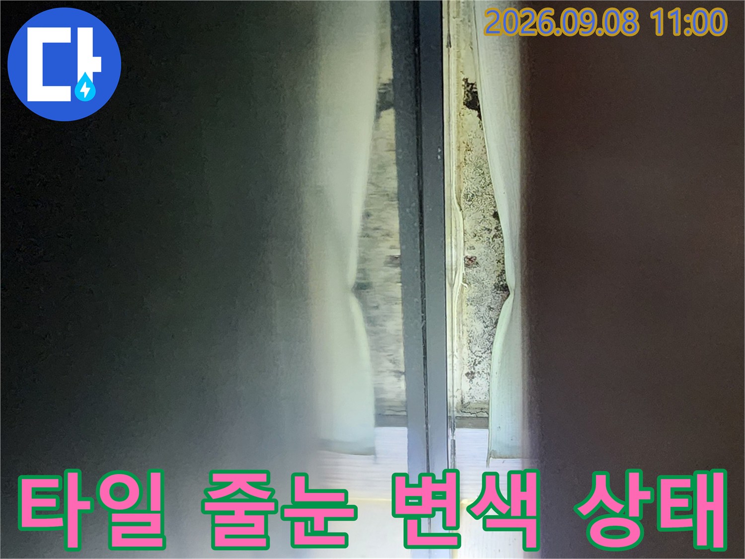 관양동 현장 점검-변색되고 오염된 욕실 타일 사이 줄눈 부위