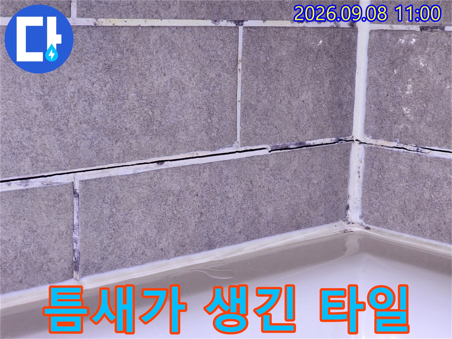 안양 동안구 욕실 벽면-균열된 타일 줄눈 근접 촬영