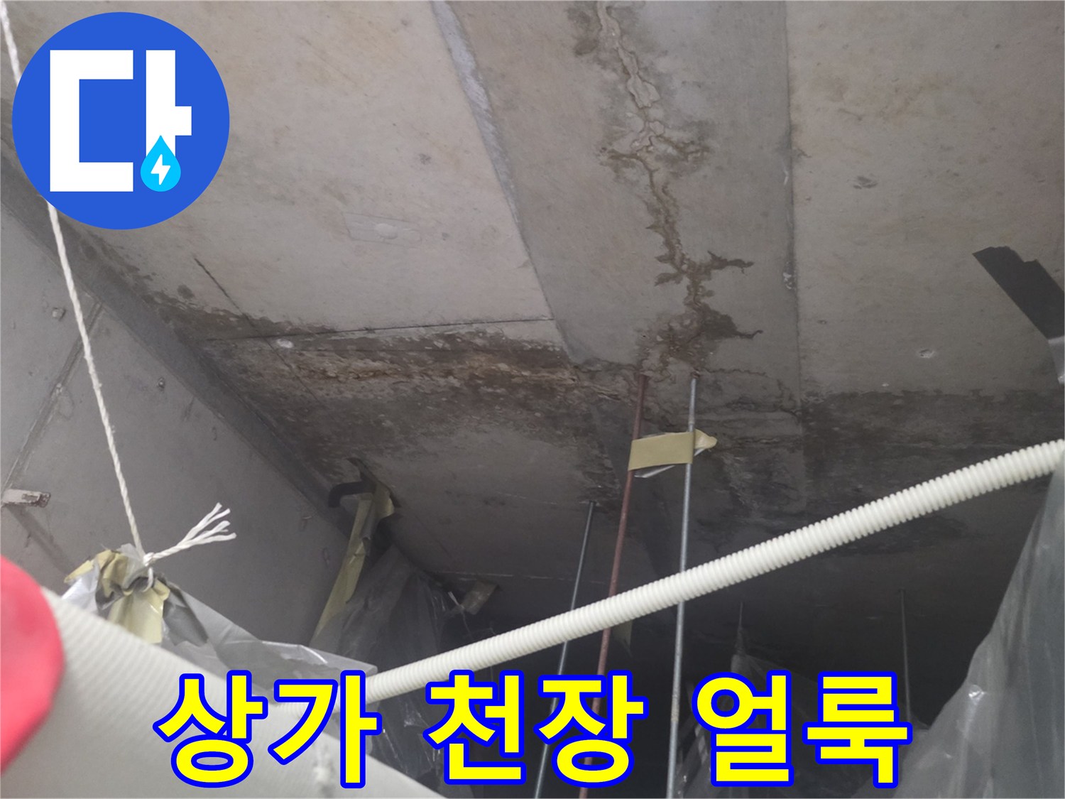 상가 건물-천장 콘크리트 면에 발생한 물샘 흔적과 얼룩 상태