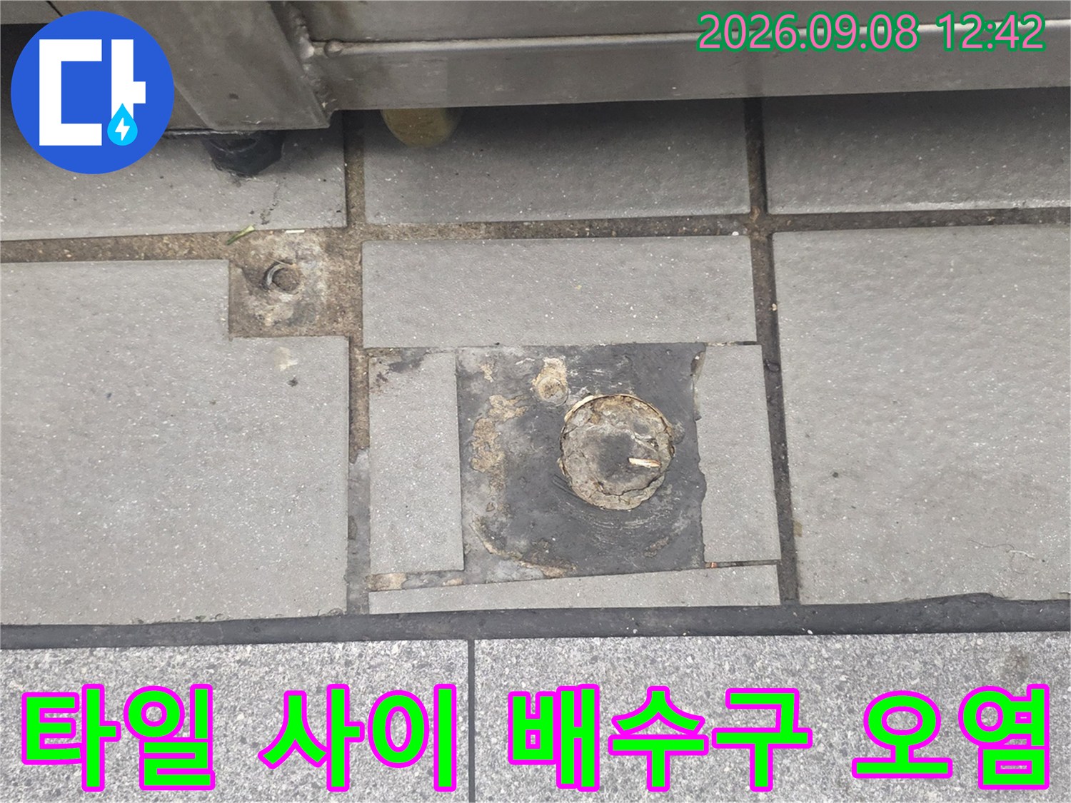 오염된 배수구 주변 타일 틈새와 마감재 상태를 보여주는 사진