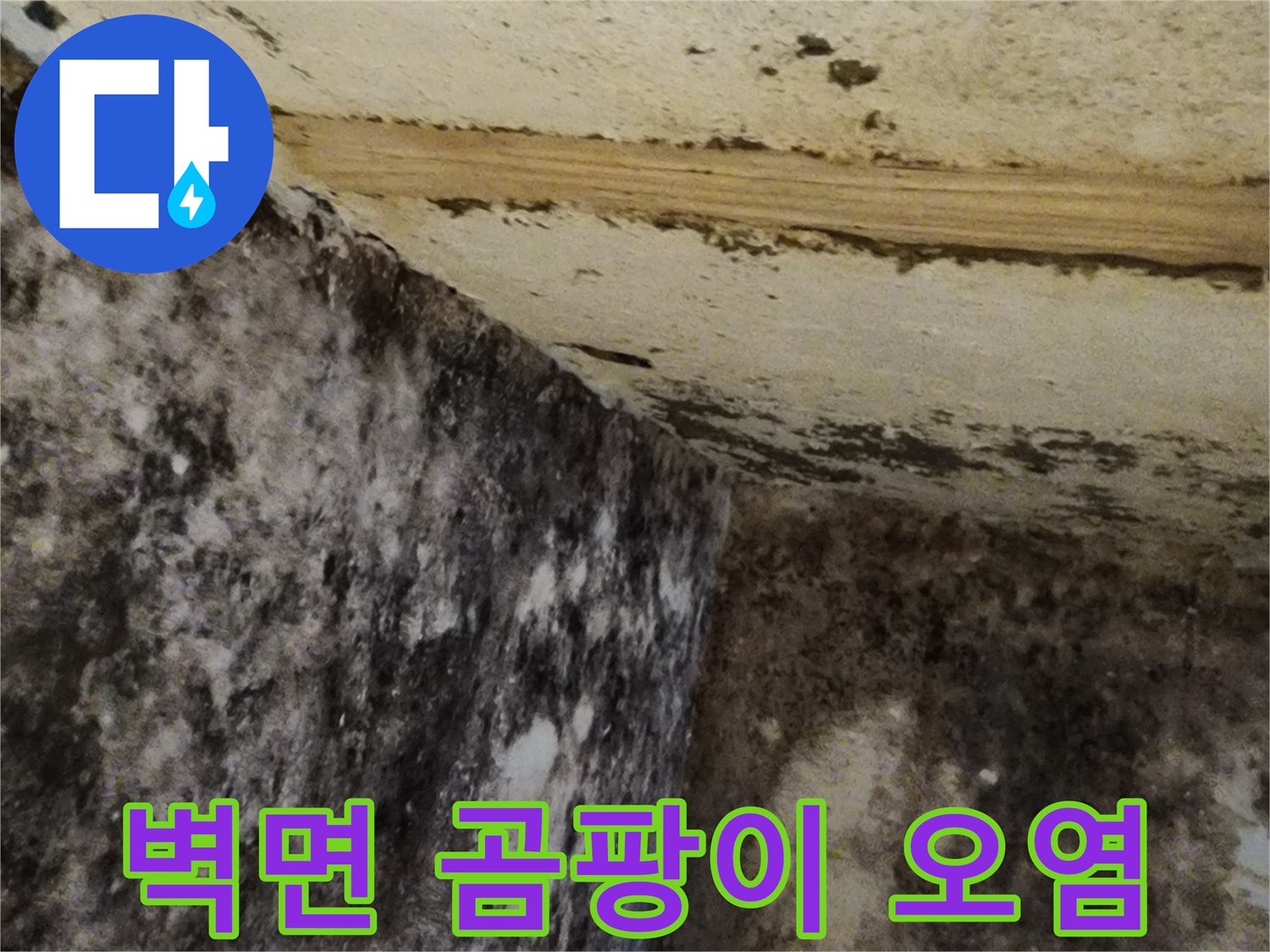 누수로 인한 지하 벽면의 심한 곰팡이 발생 현장