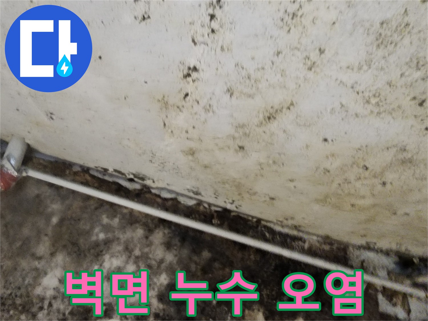 누수로 인해 변색되고 곰팡이가 생긴 지하 벽면 모습