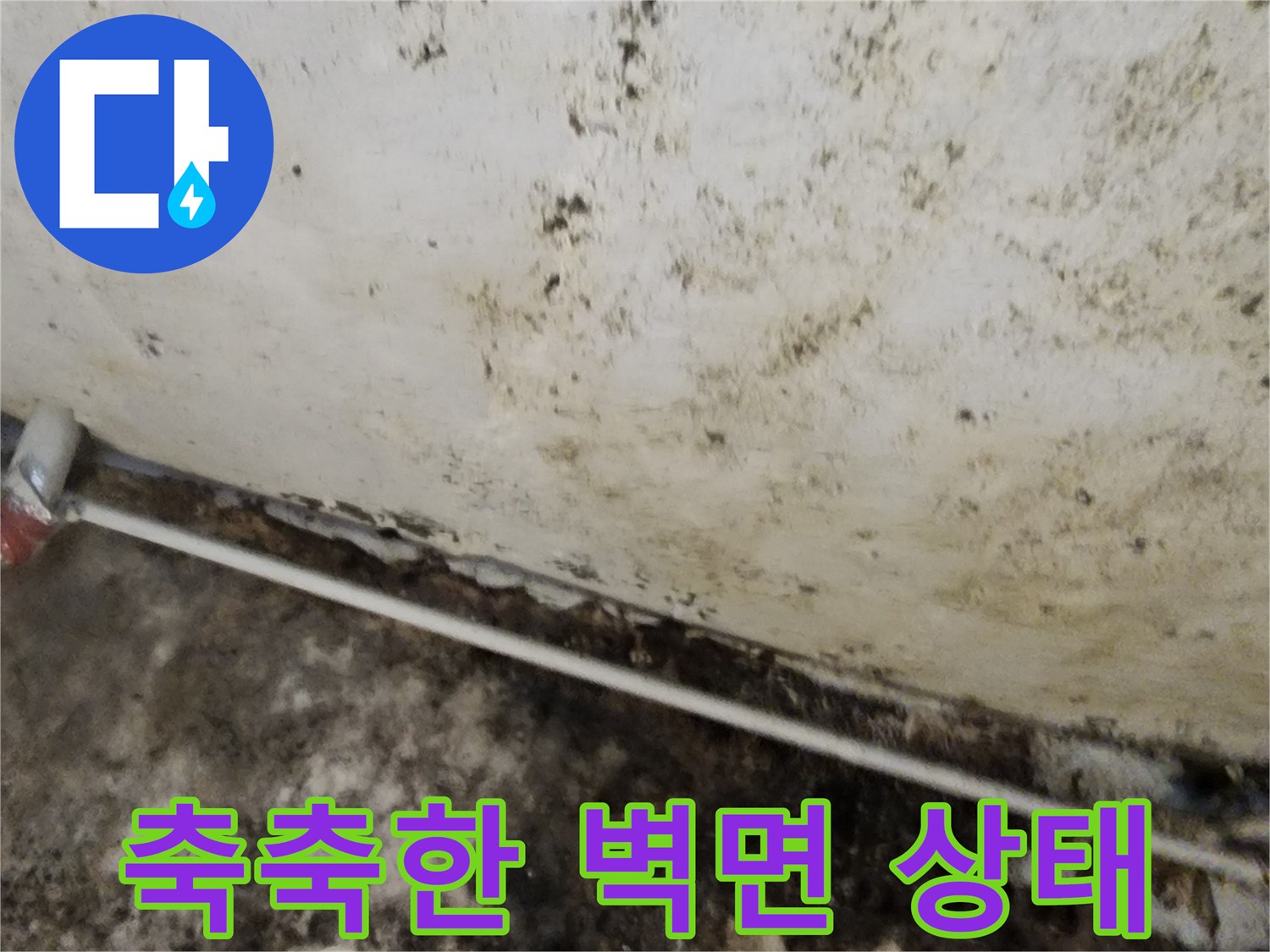 습기로 오염된 지하실 벽 - 검은 곰팡이가 가득한 벽면