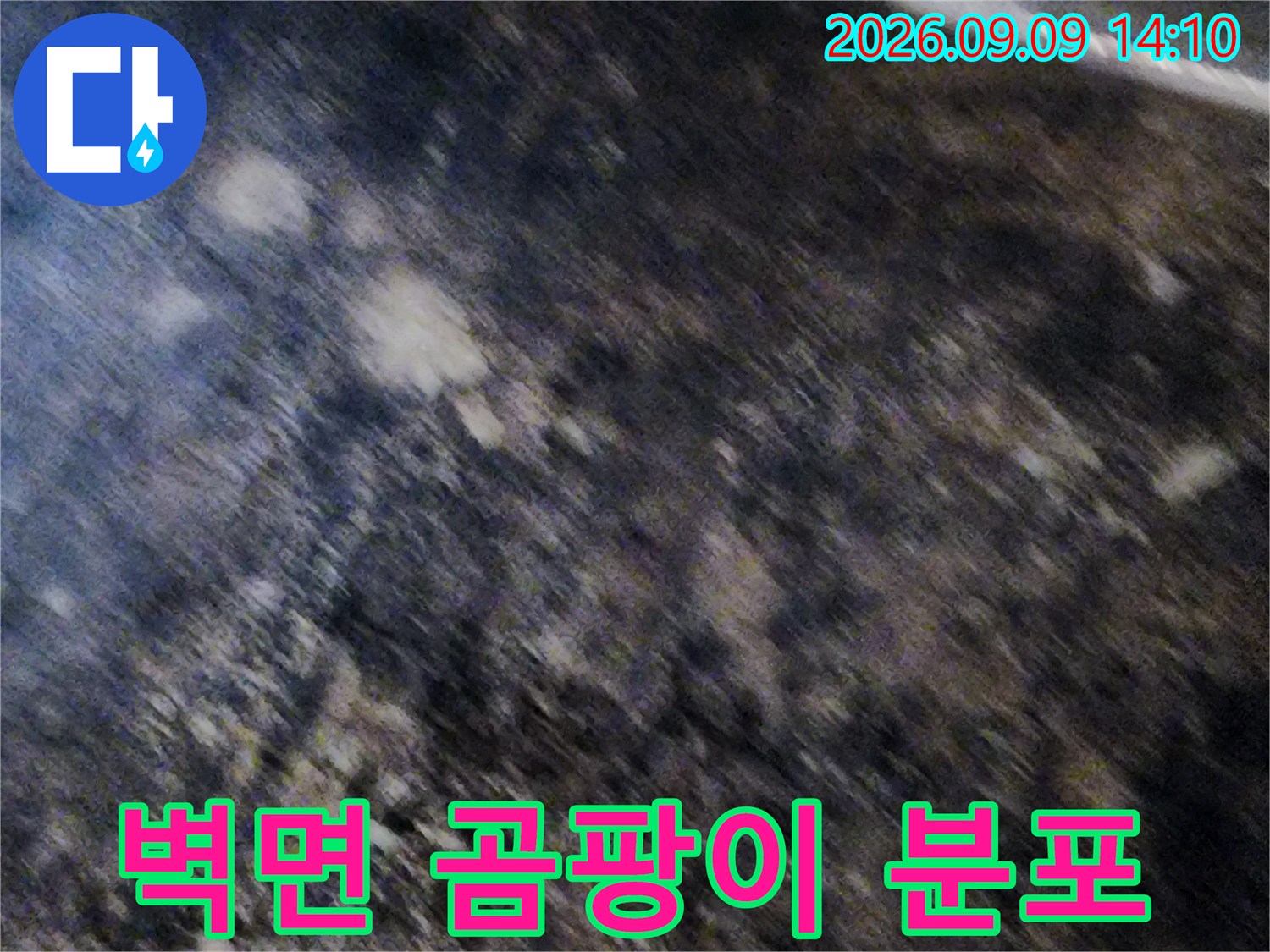 심하게 오염된 지하실 벽면의 곰팡이와 습기 현상