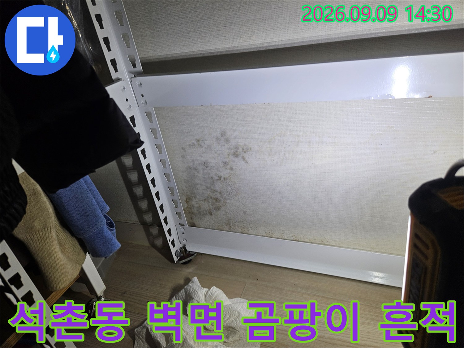 송파구 석촌동 거실 벽지의 누수 오염 및 곰팡이 상태