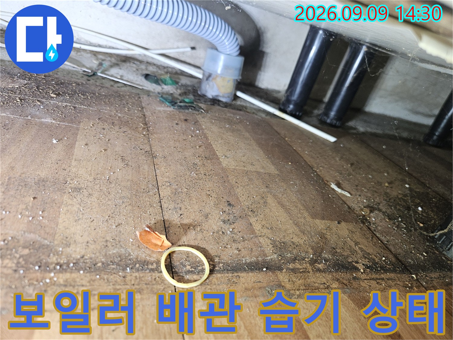 송파구 석촌동-보일러 배관 주변의 습기와 곰맨 흔적 확인