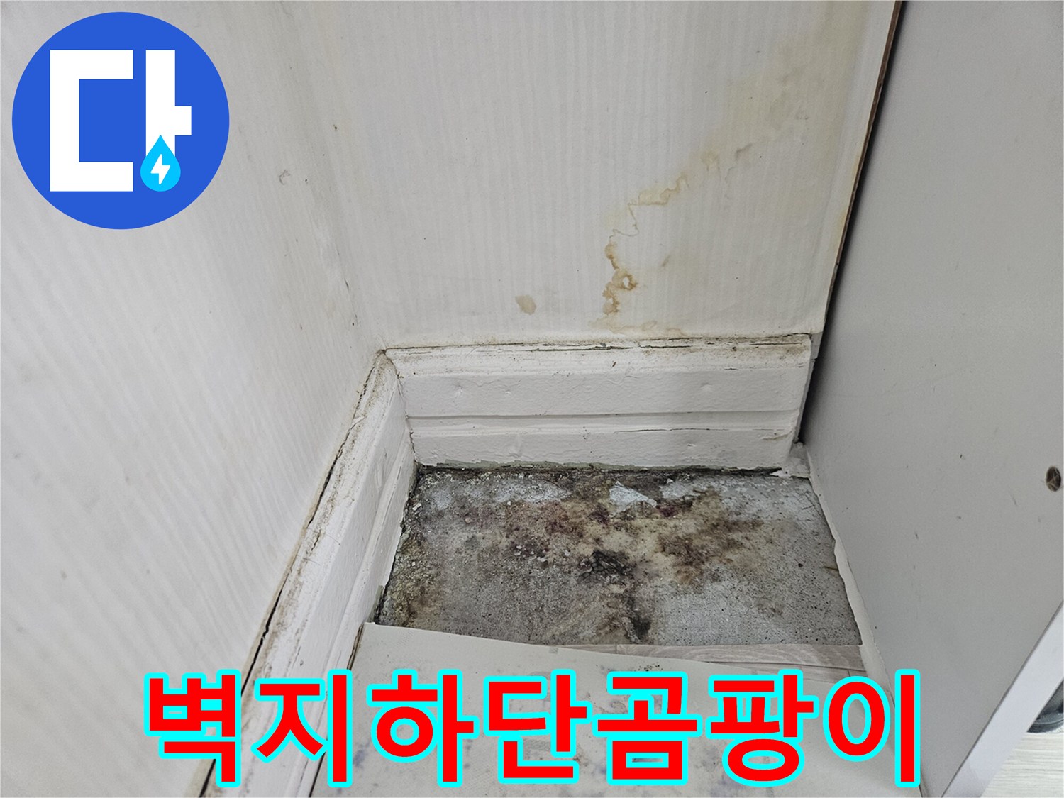 누수-물길로-인해-발생한-벽지-곰팡이-흔적
