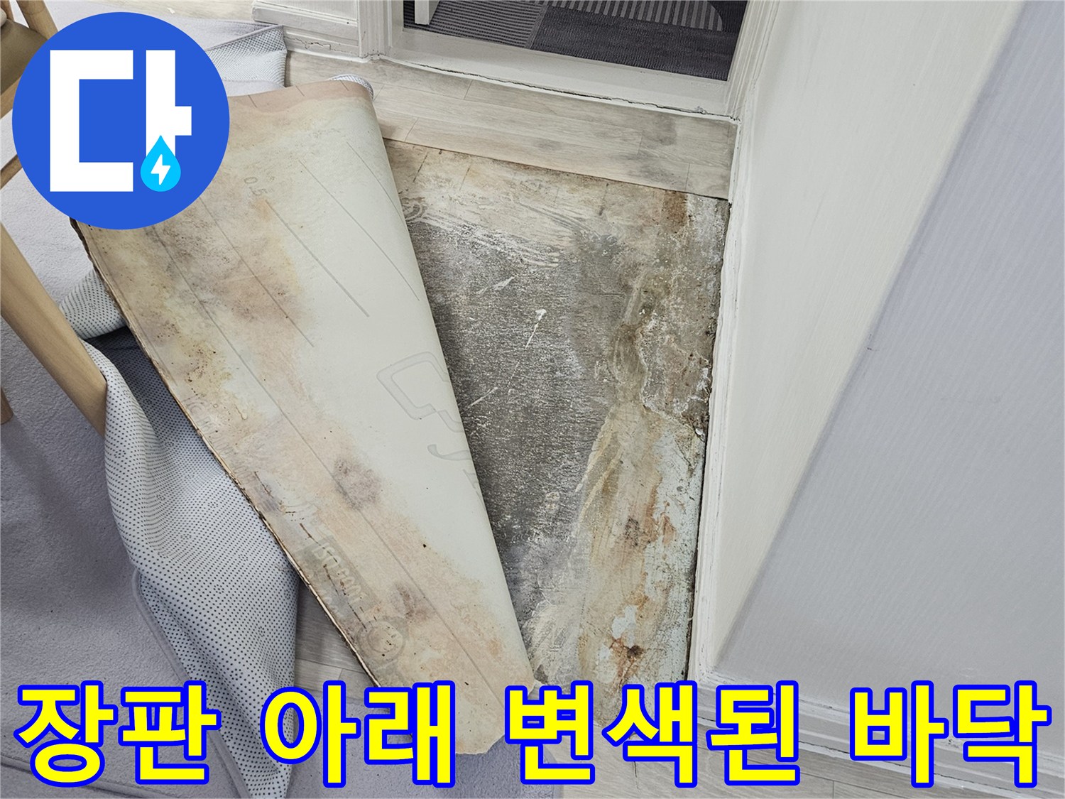 용인 수지구 죽전동-장판을 걷어낸 후 발견된 바닥의 습기 및 변색 상태