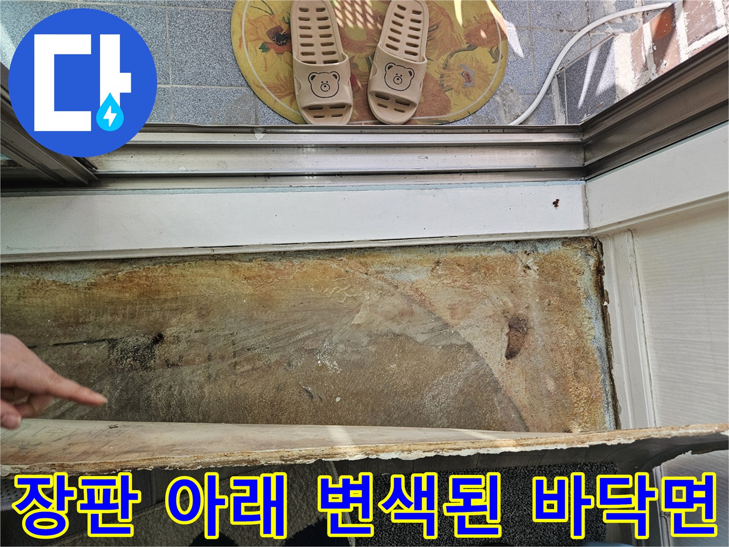 장판을 걷어낸 후 발견된-변색되고 축축한 콘크리트 슬래브 면