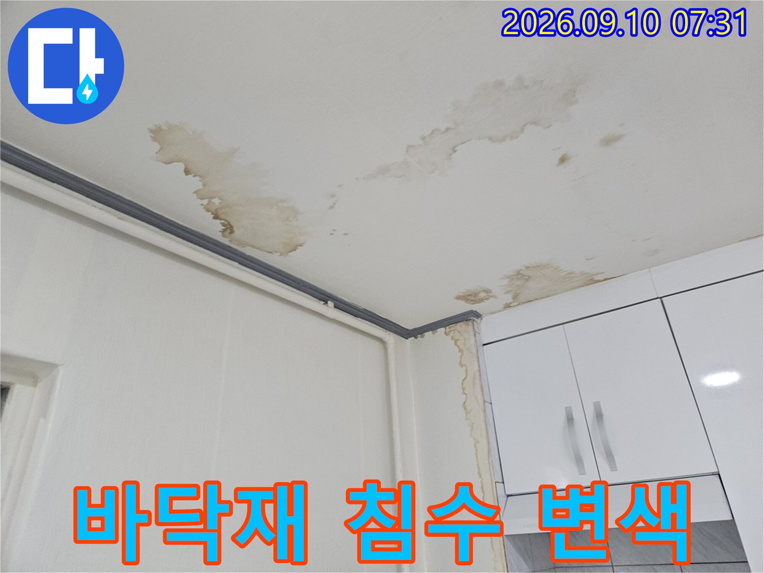 하얀 장판 위에 넓게 퍼진 갈색의 물 번짐과 오염된 흔적