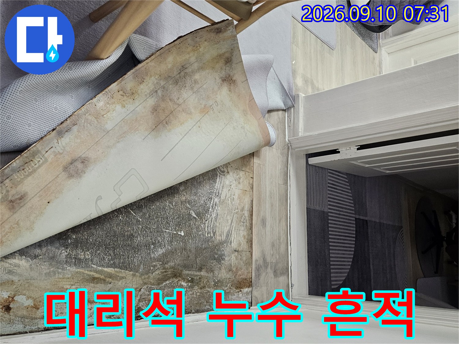 현관 대리석 경계부의 변색과 장판 아래 습기 침투 현황