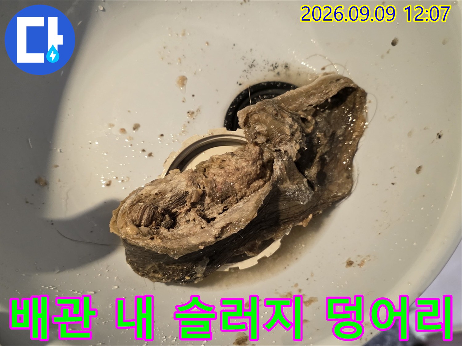 남양주 덕소리 현장의 배관 내부에서 추출된 거대한 슬러지 덩어리 모습